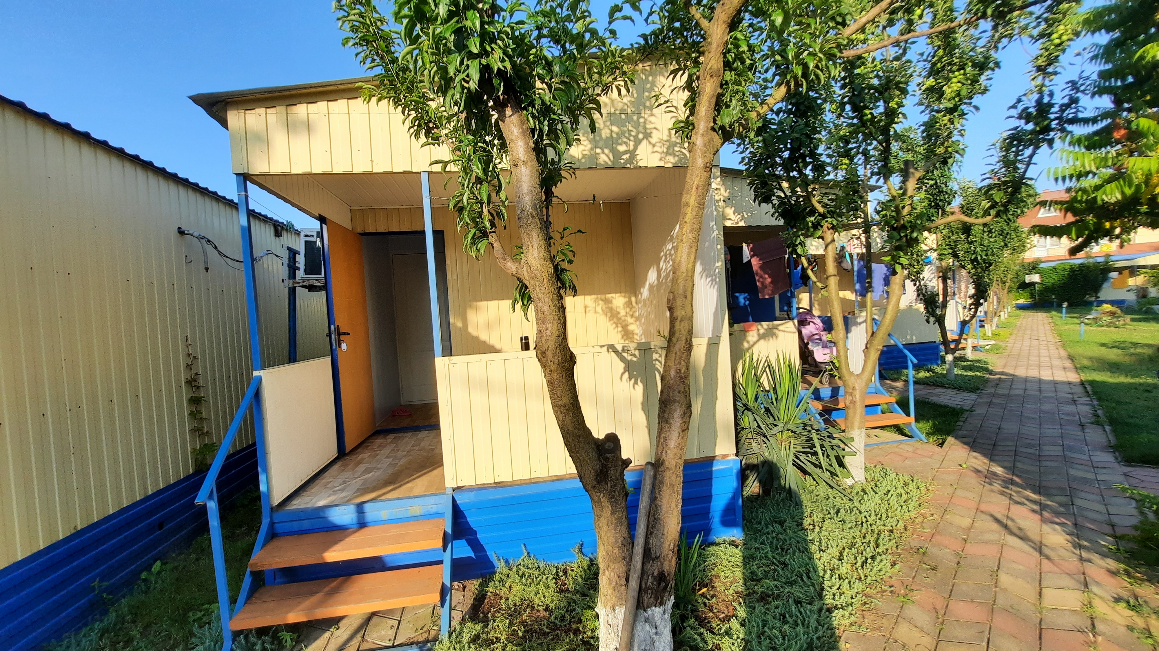 Фото Дельфин