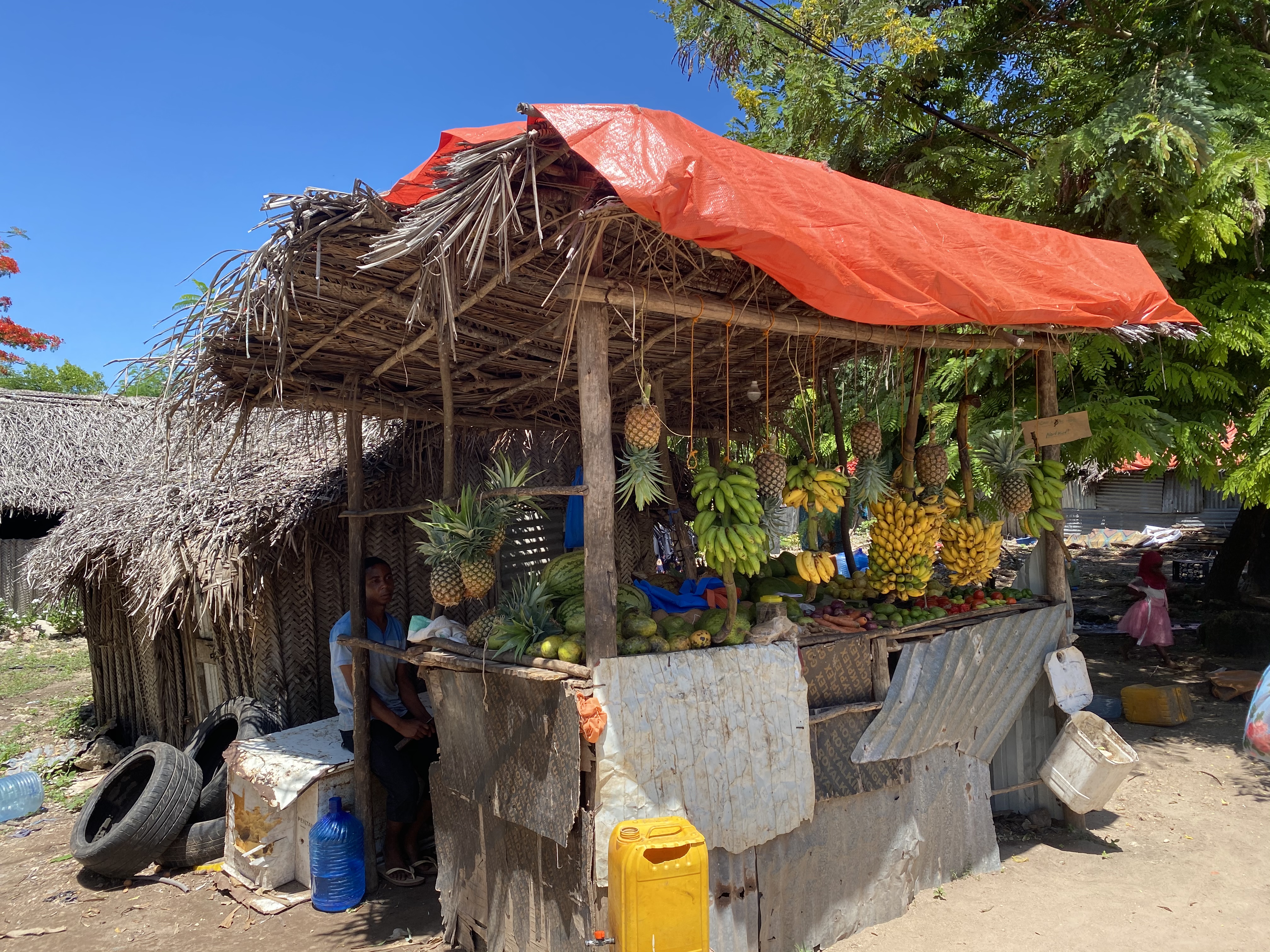 Фото Kiwengwa Beach Resort