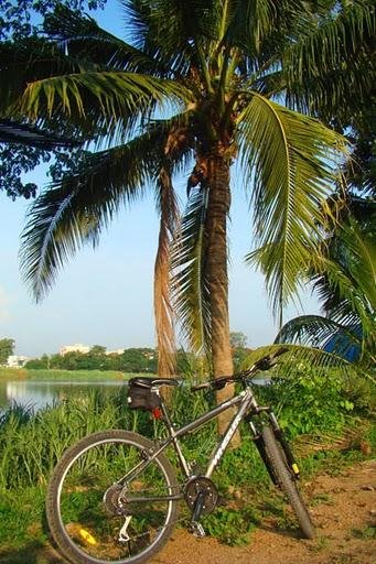 Фото Tonnam Resort