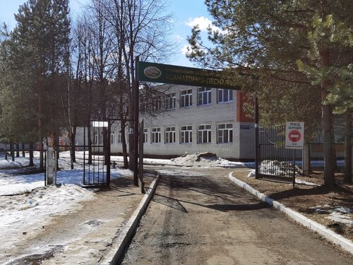 Школа санаторного типа Санаторно-лесная школа имени В. И. Шарова, Ярославская область, фото