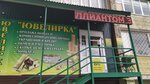 Ювелирка (ulitsa Karla Marksa, 56), casa de empeño