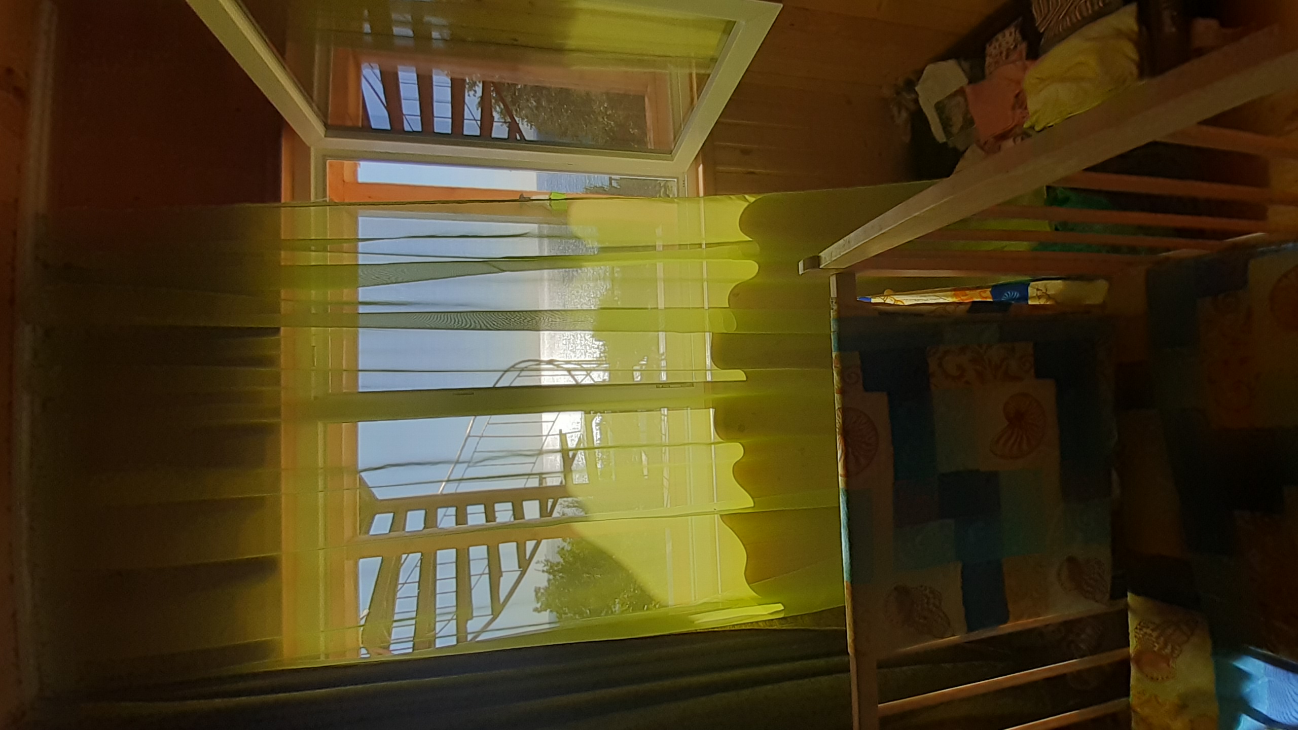 Фото Афалина