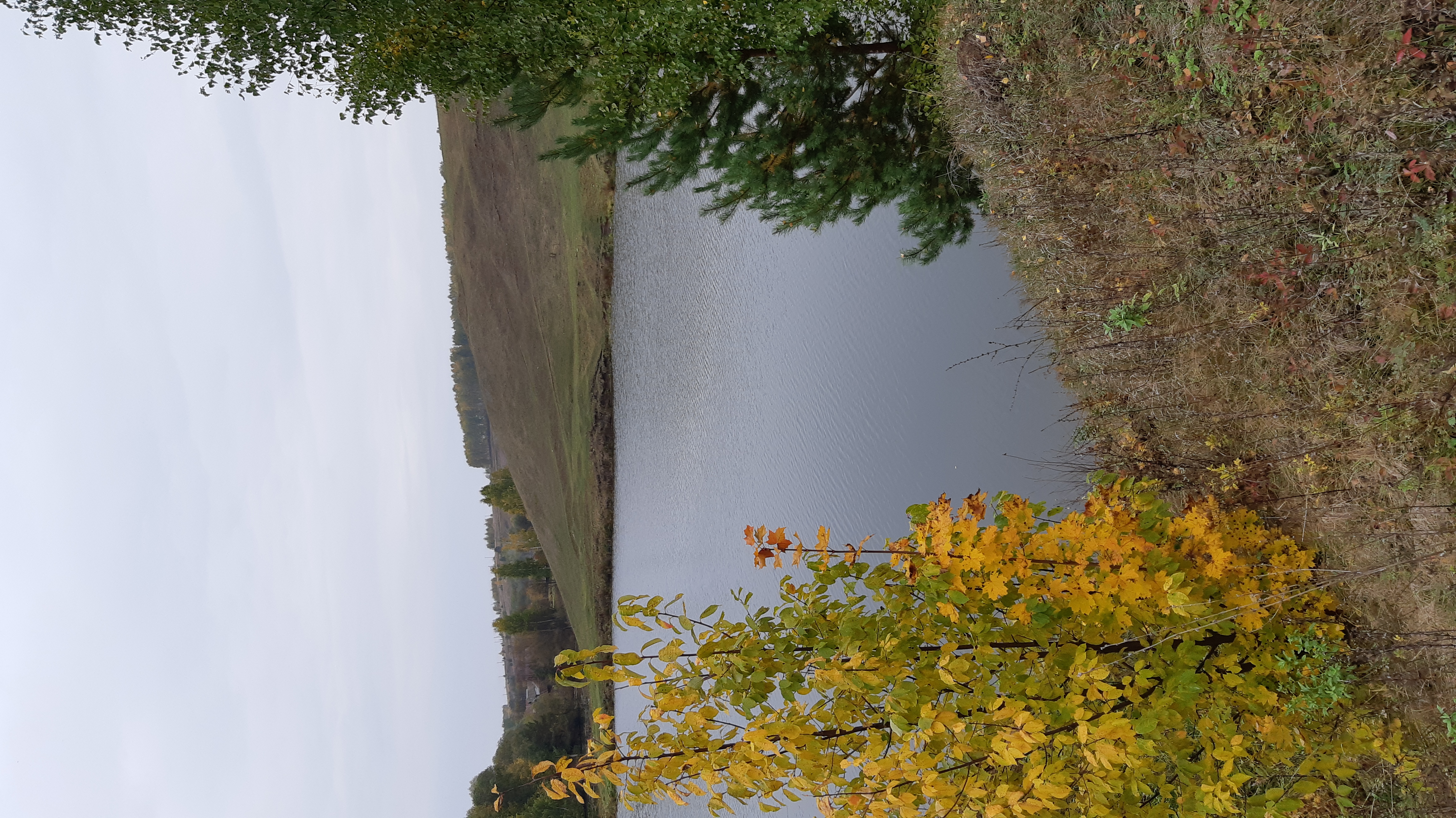 Фото Заимка