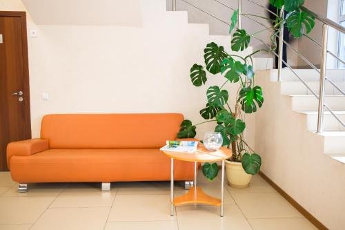 Фото Клевер