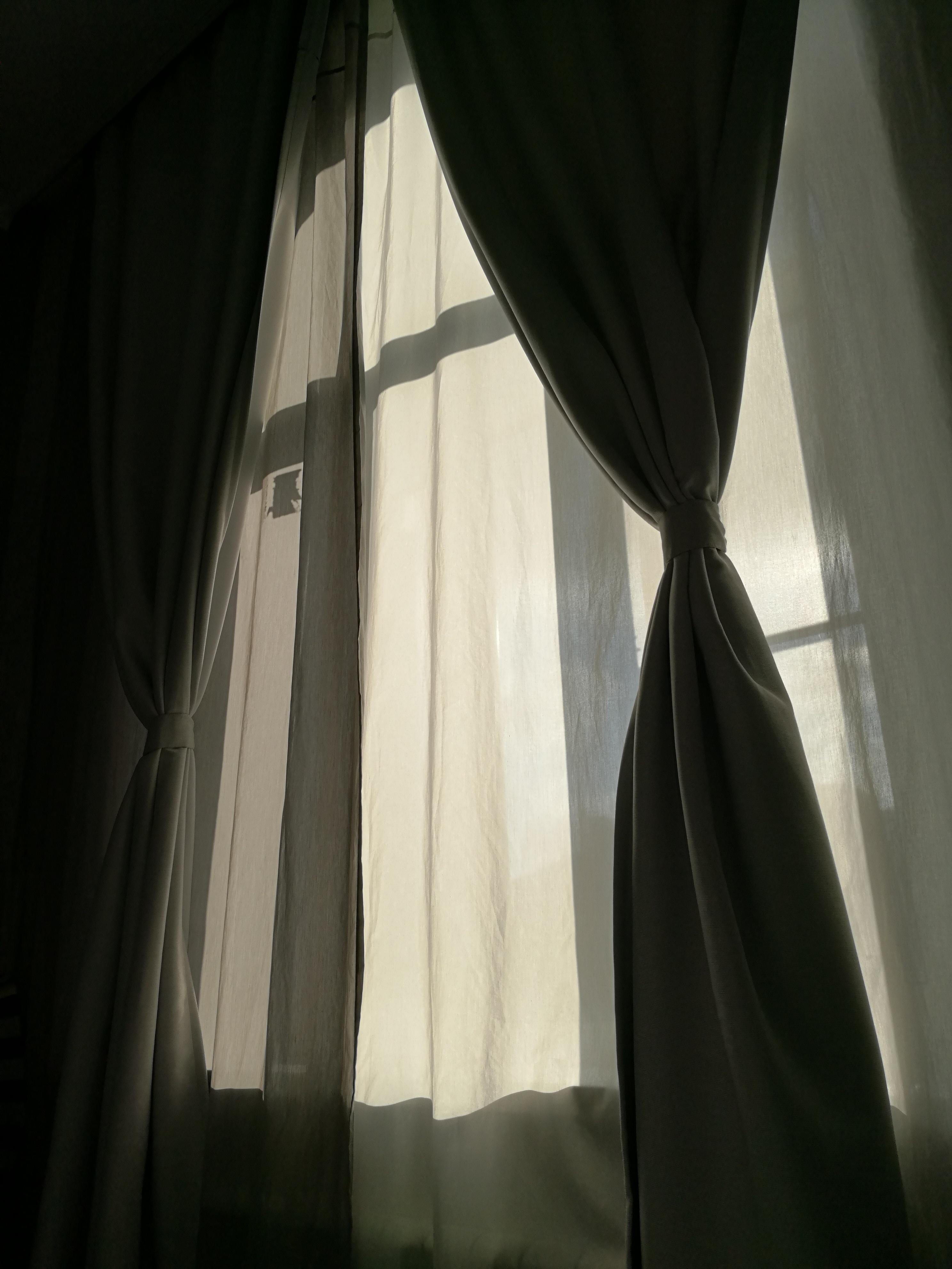 Фото Гелеон