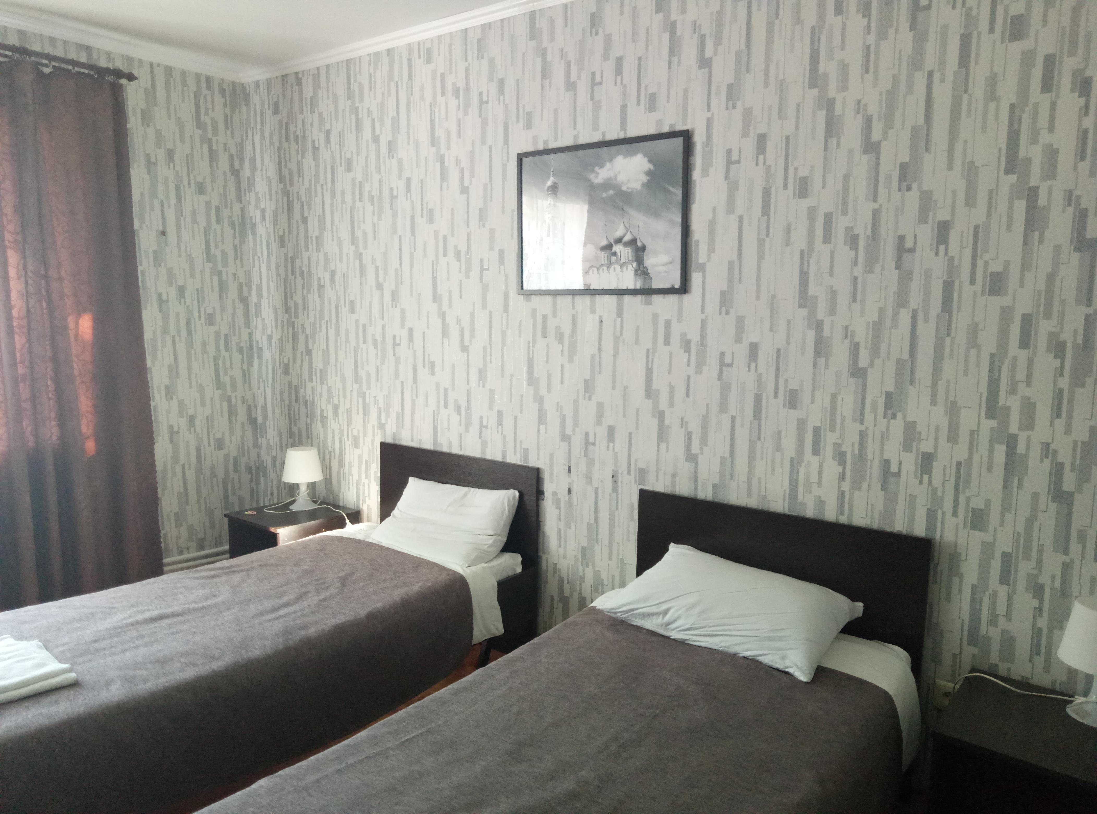 Фото Базилик