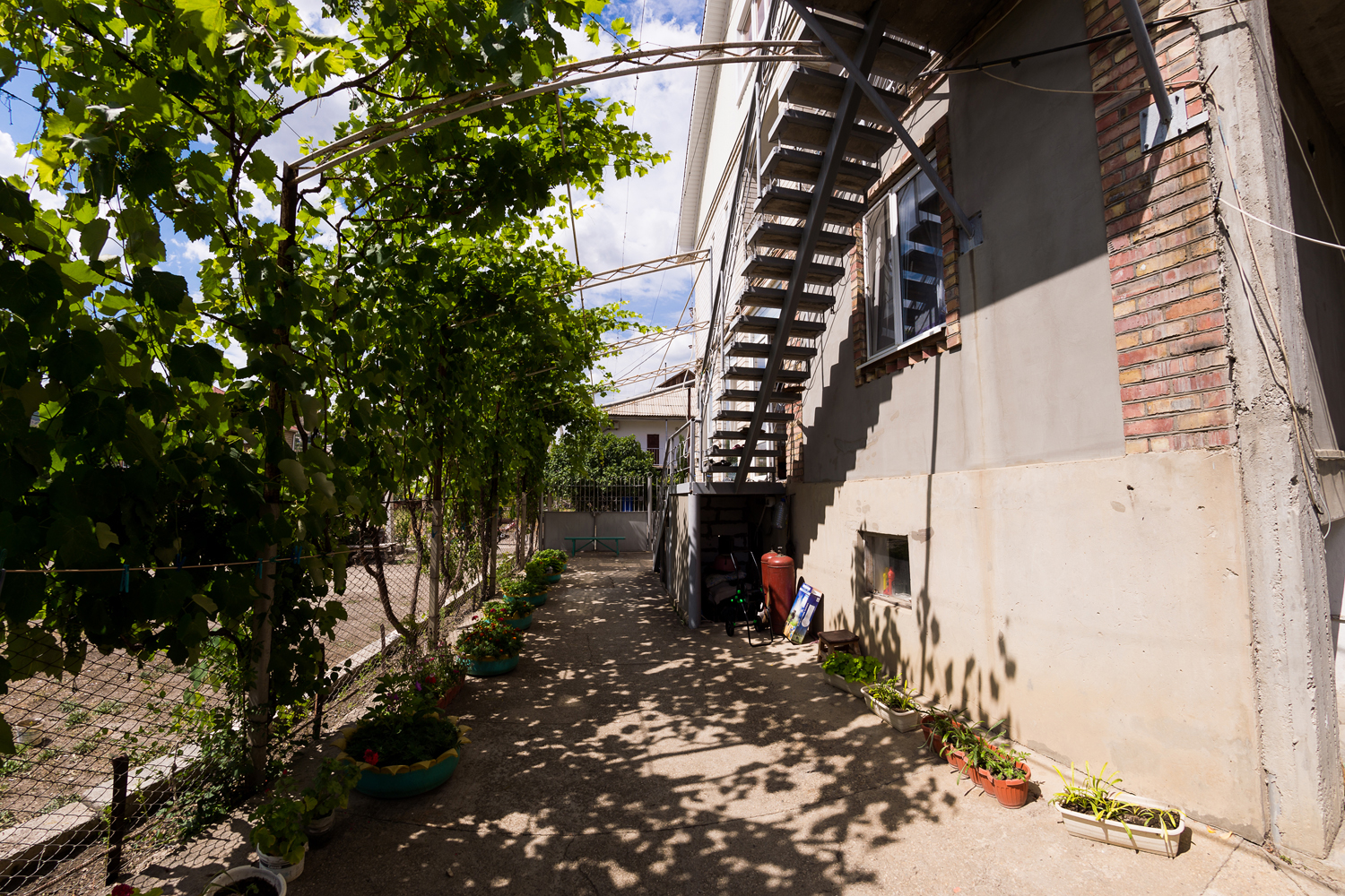 Фото Йылдыз