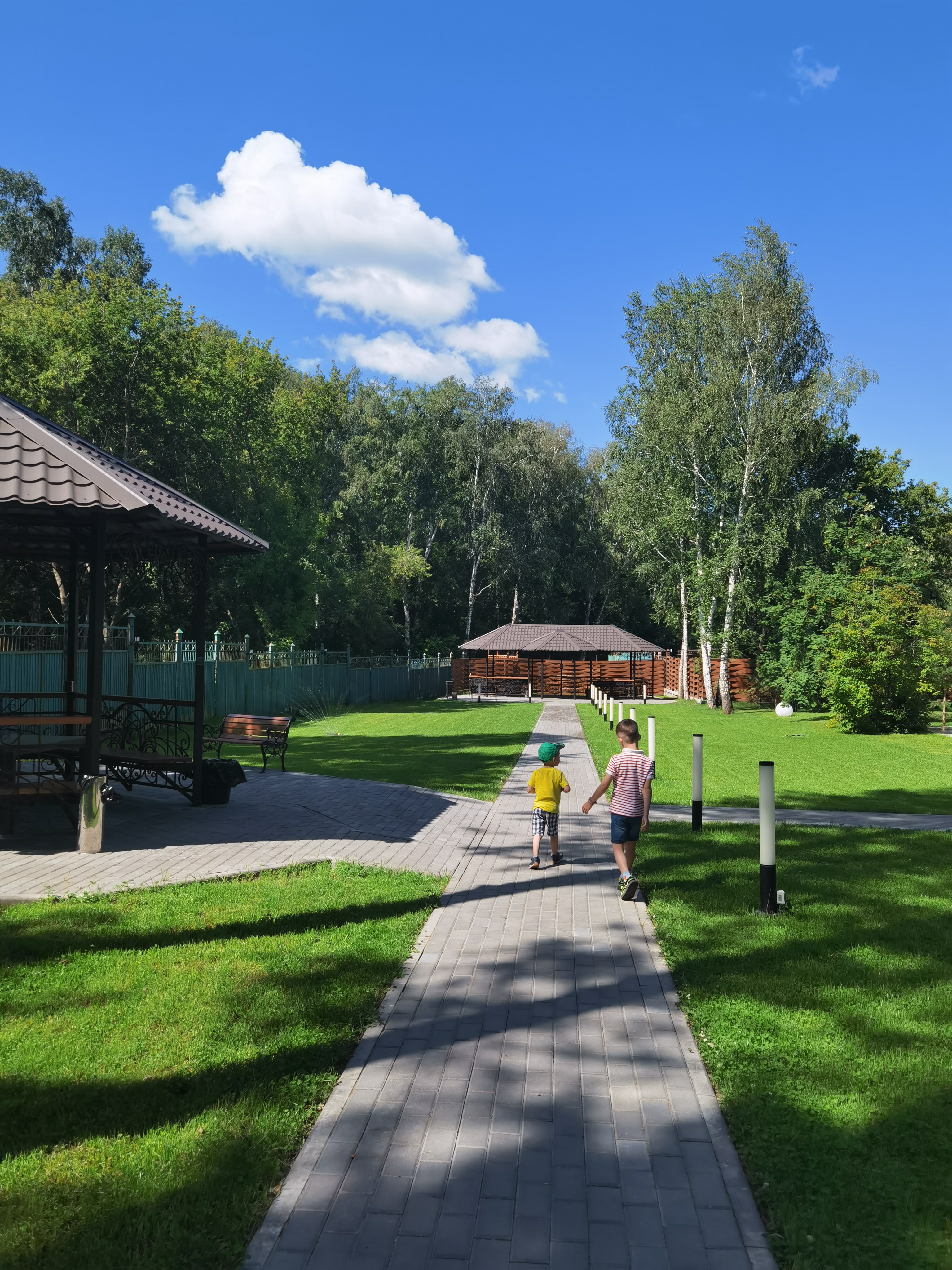 Фото Сосновый бор