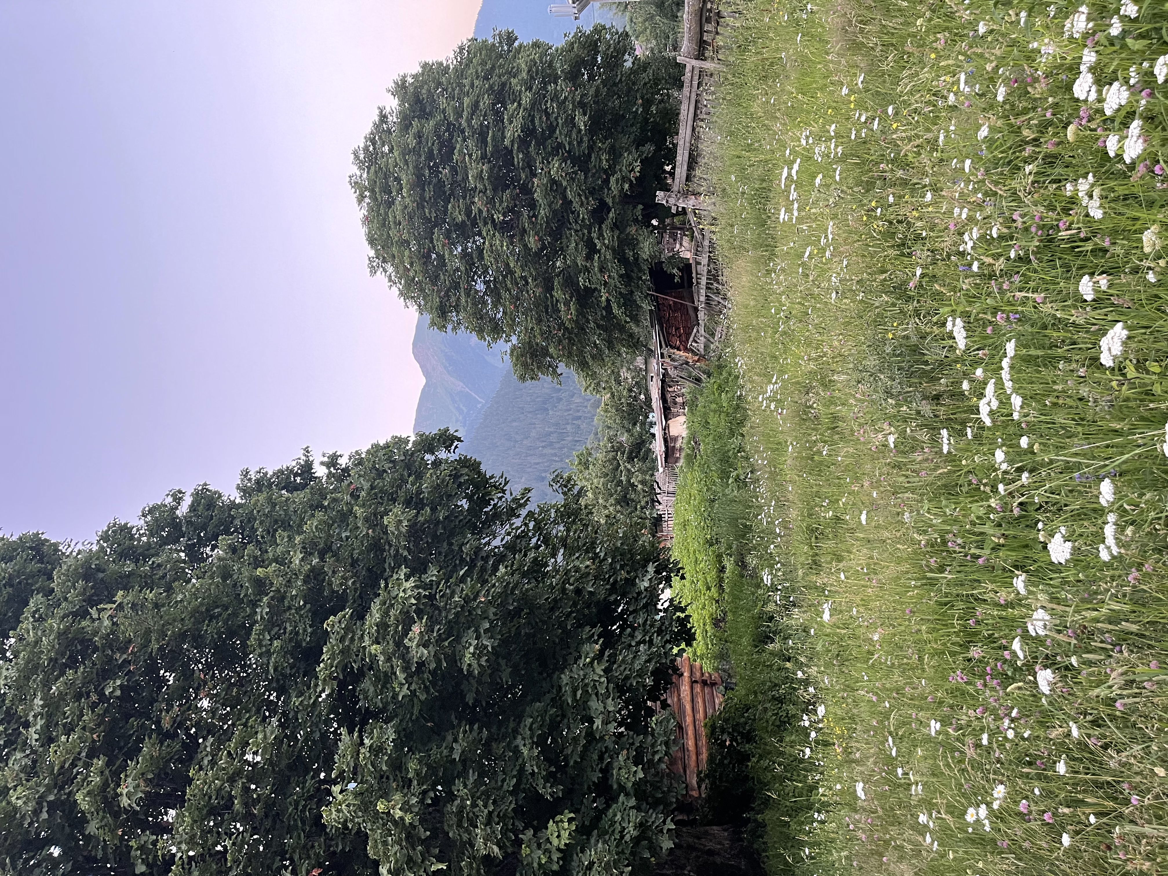 Фото Виктория