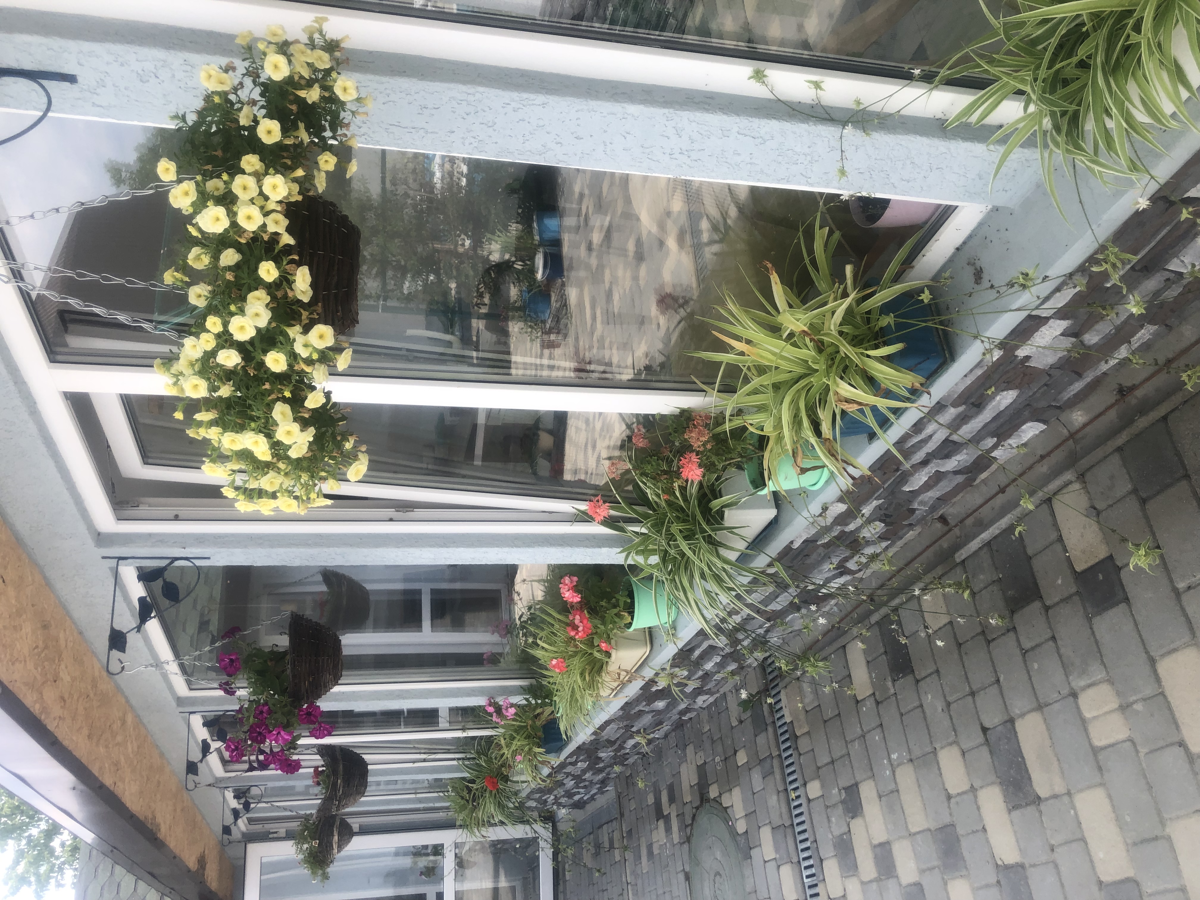 Фото Альтитюд