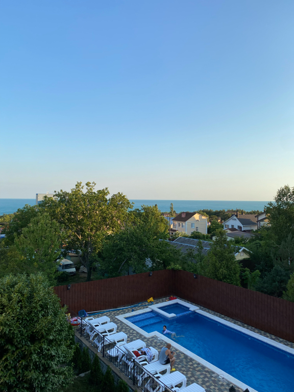 Фото Альбатрос