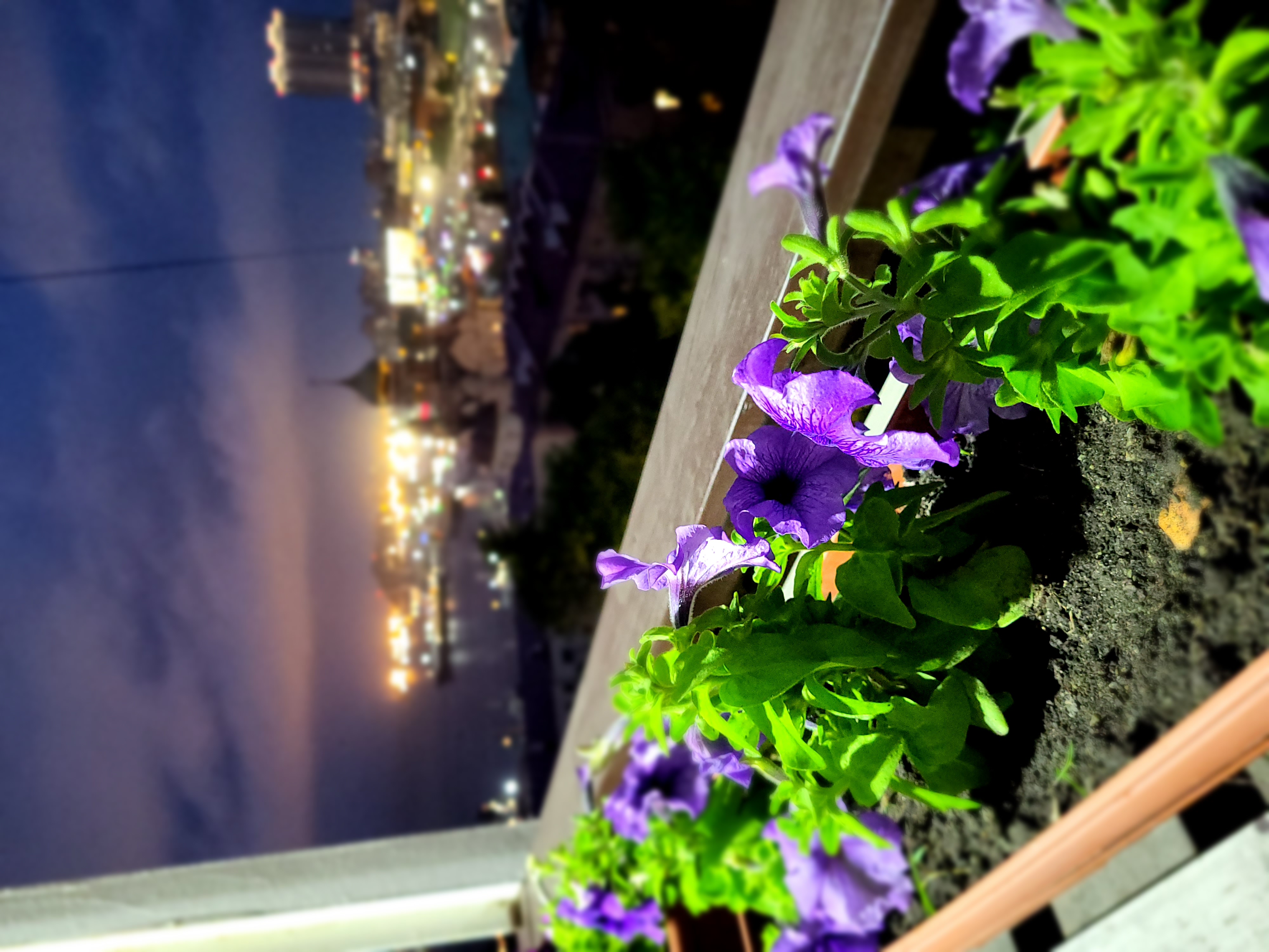 Фото Golden Horn Bay View