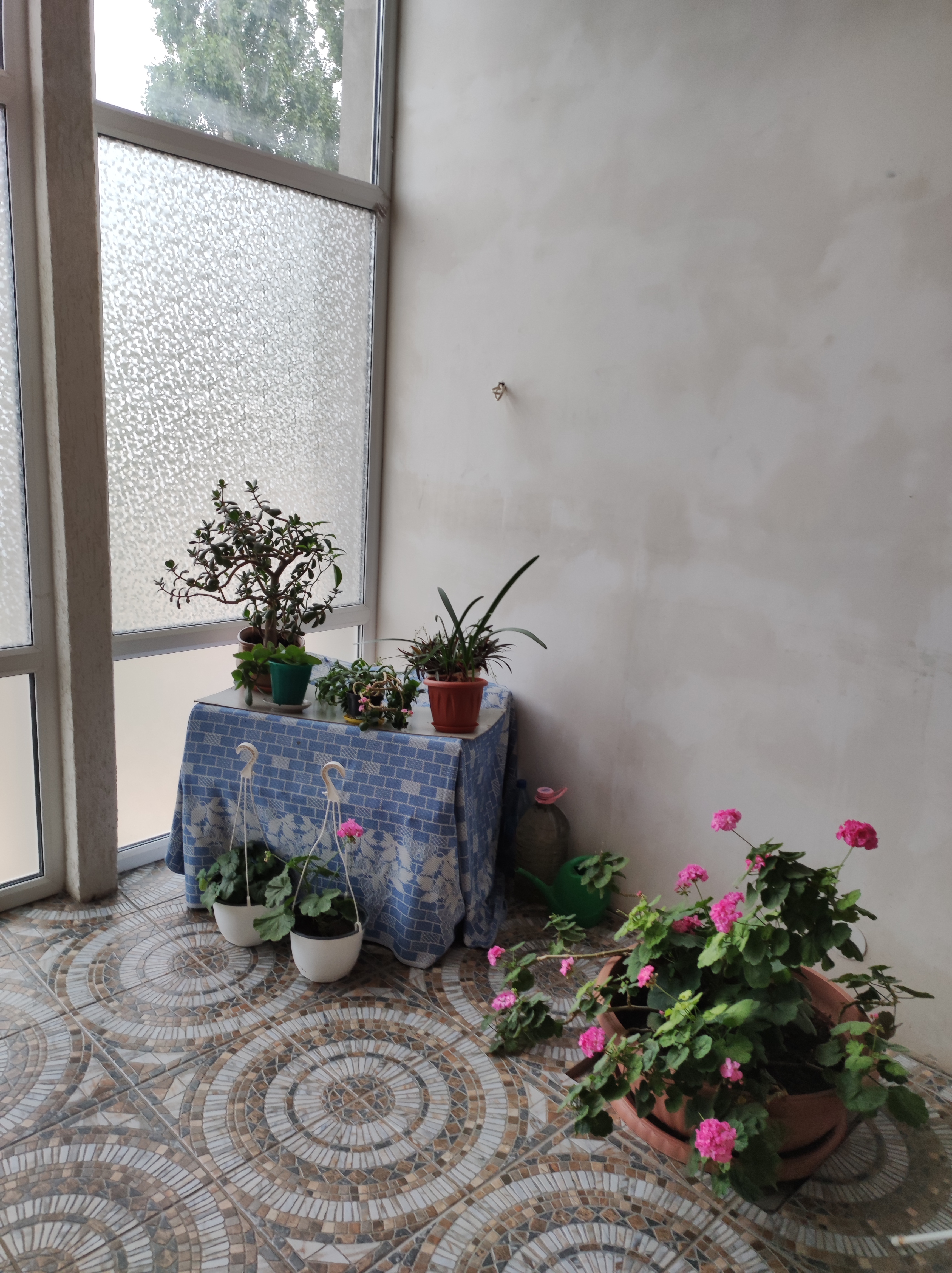 Фото Гостевой дом на улице Шевякова 37