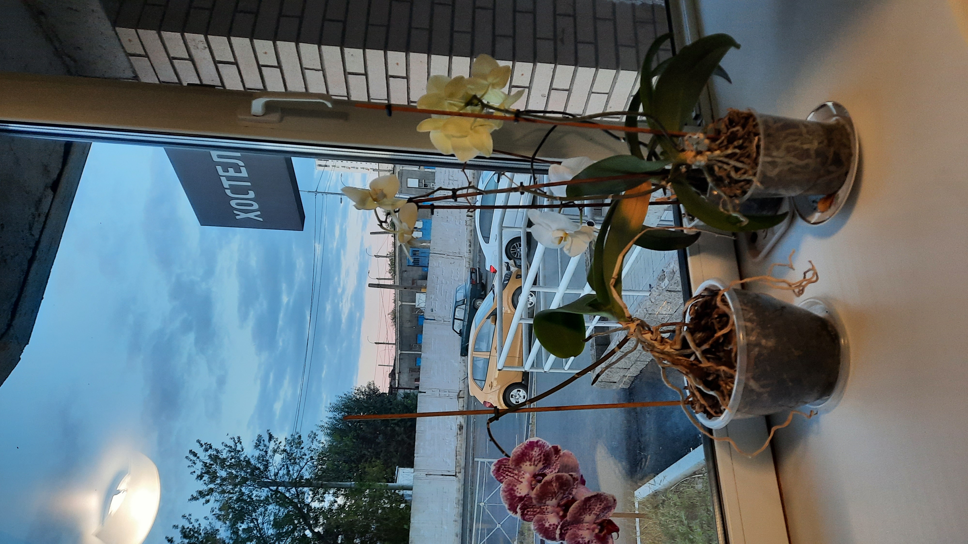 Фото Wiki Hostels