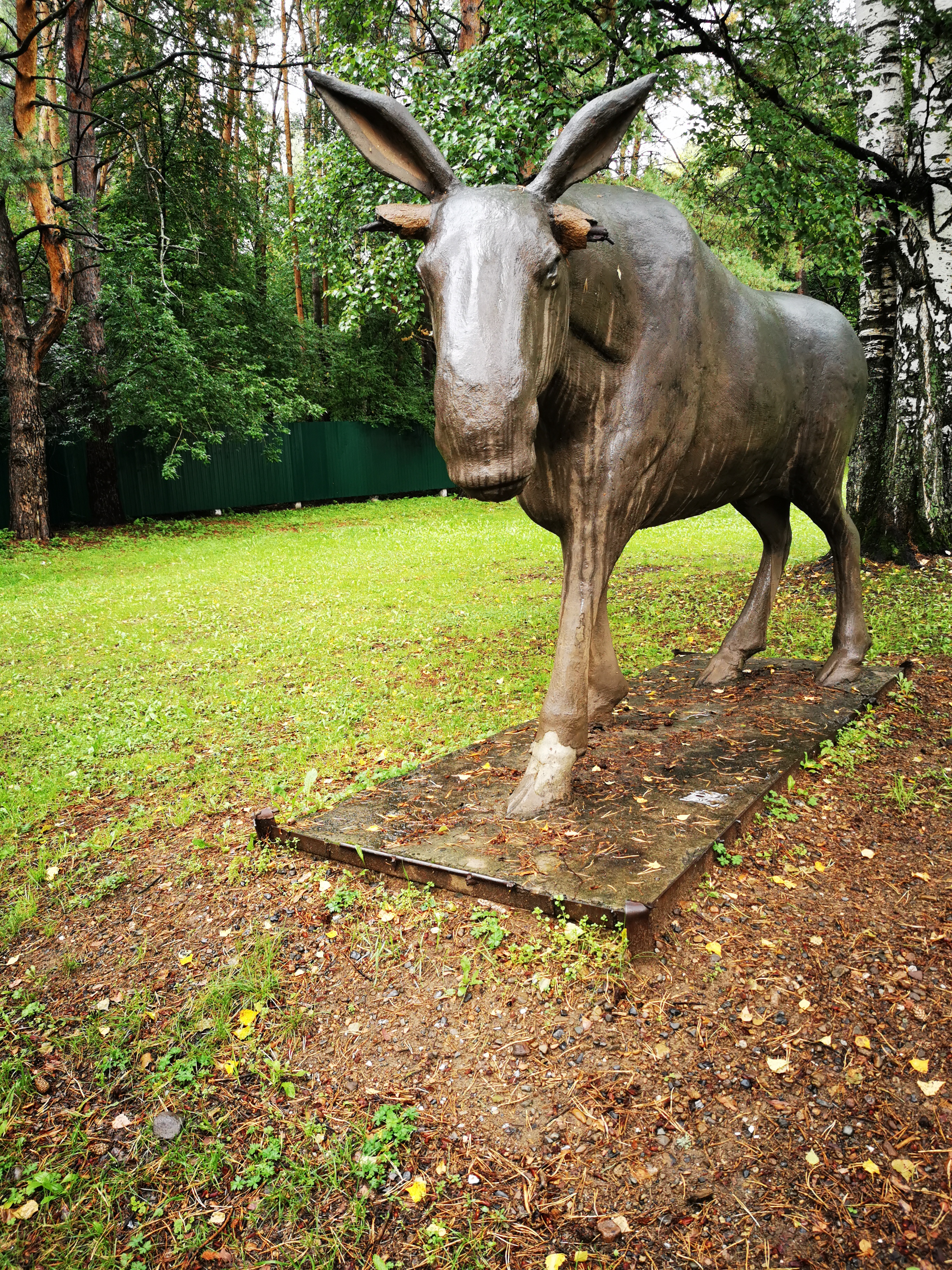 Фото Лесная сказка