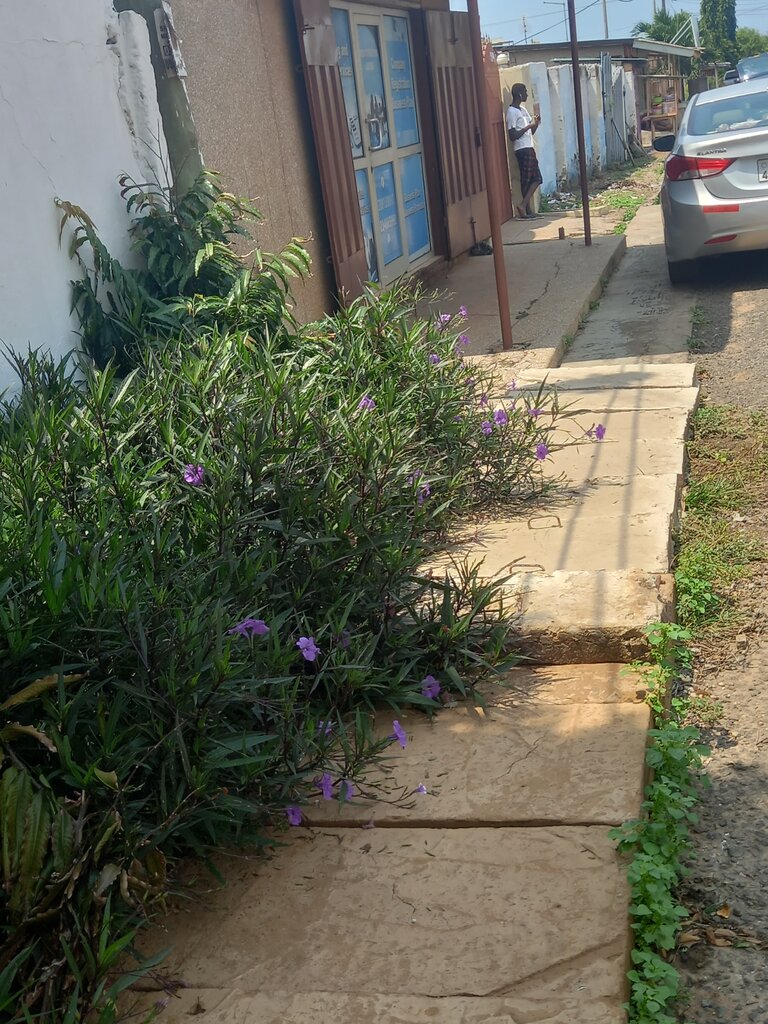 Business consulting E kob consulting limited, Earth, photo