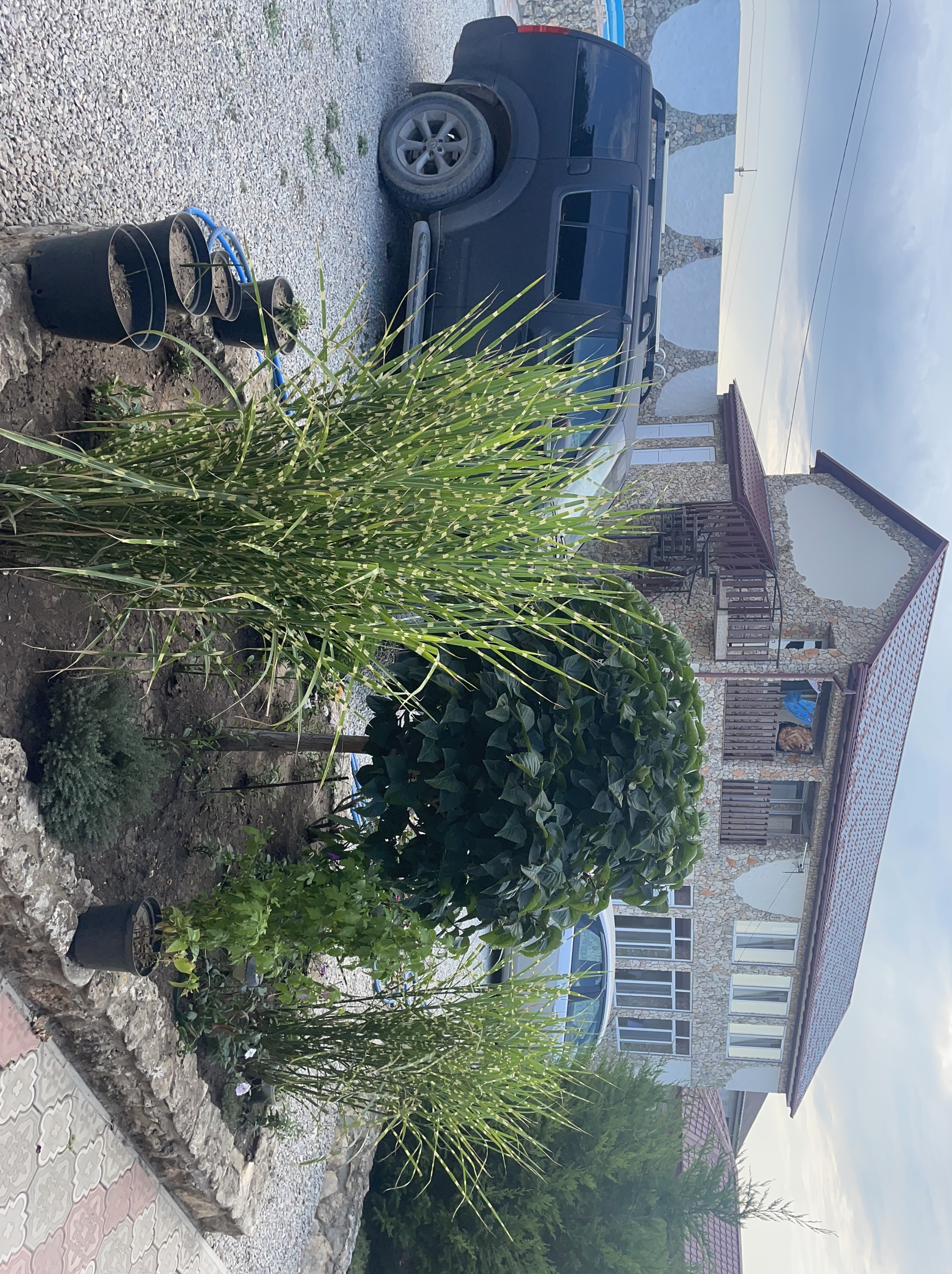 Фото ШаНель