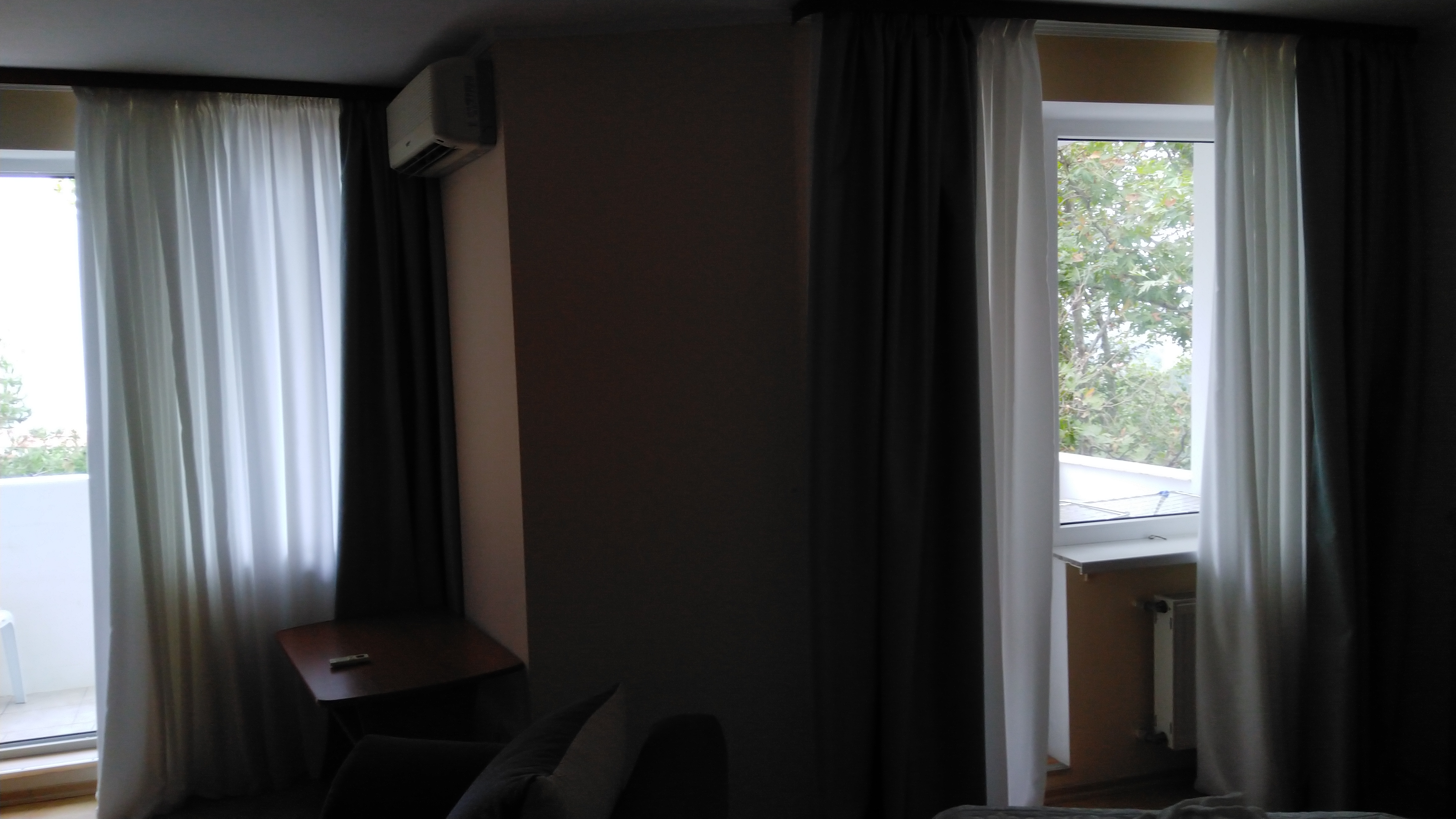 Фото Альбатрос