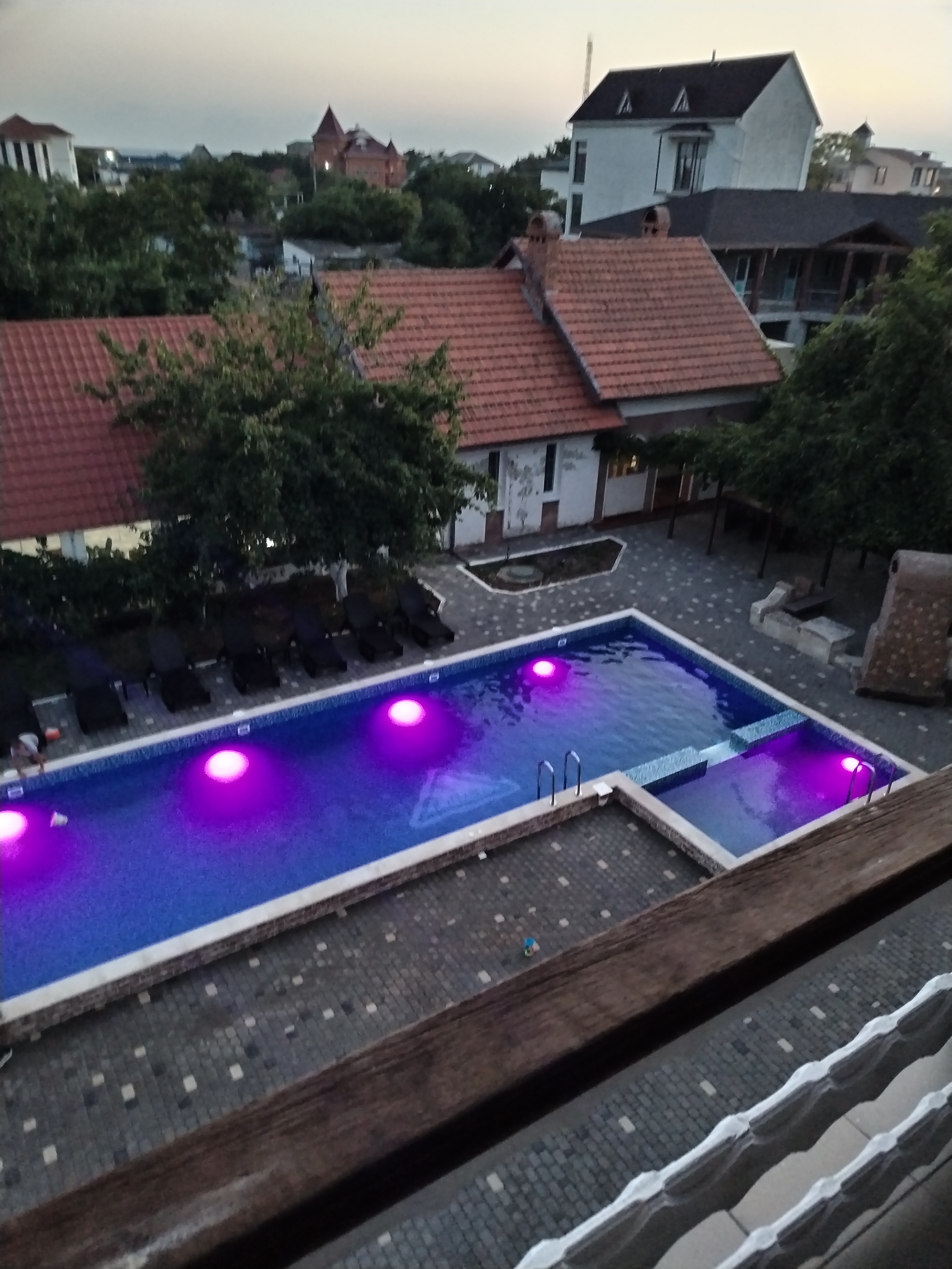 Фото Купава