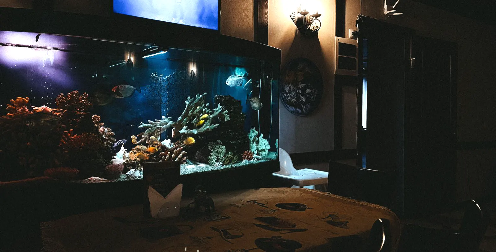 Фото Волков Скай