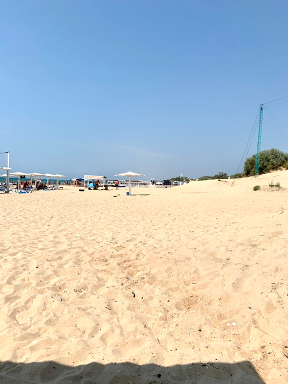 Фото Магнат