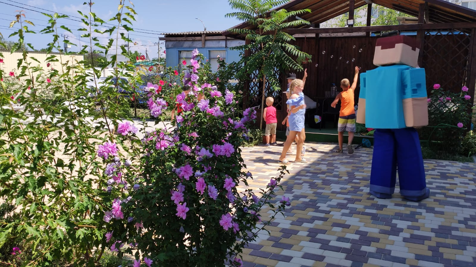 Фото Море Лета