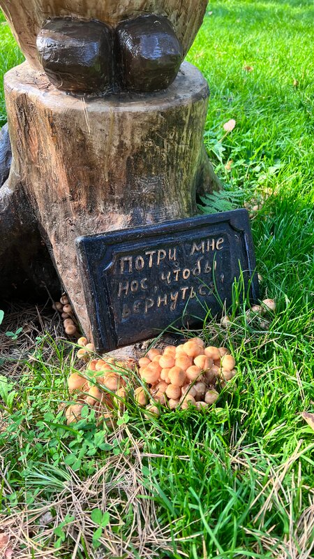 Усадьба Кругловых — фото 43