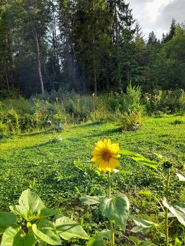 Иное жильё В Асилане в Асилане