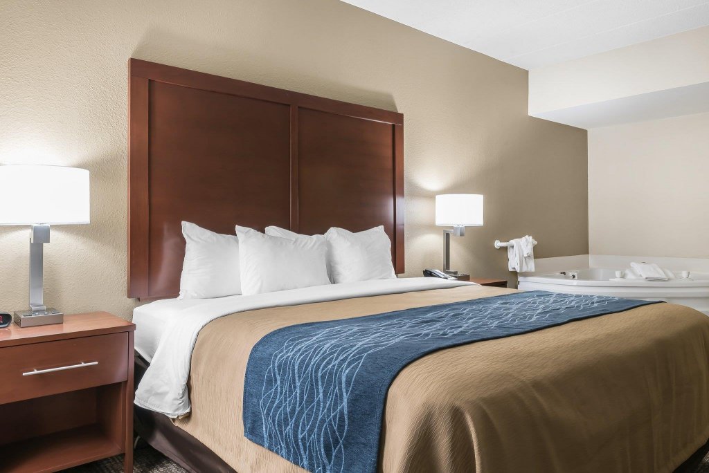 Фото Comfort Inn Indianapolis North - Carmel