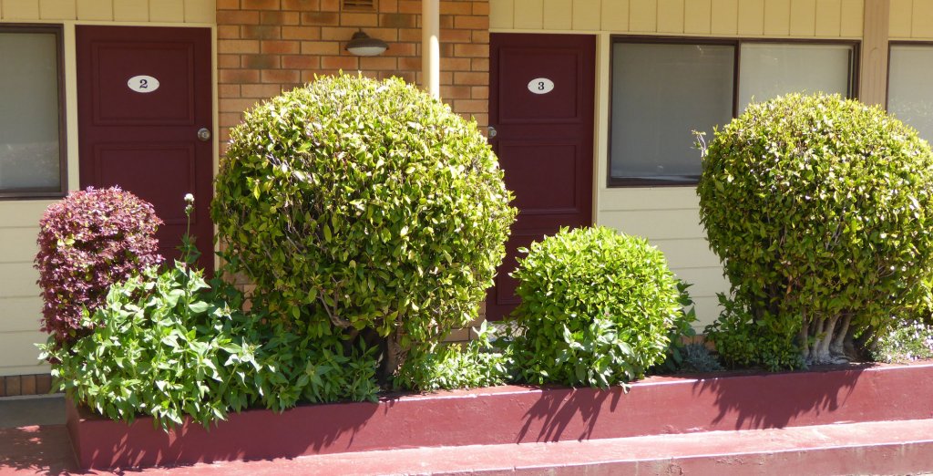 Фото City Centre Motor Inn Armidale