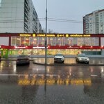 Caiman (просп. Вернадского, 93, Москва), садовый инвентарь и техника в Москве