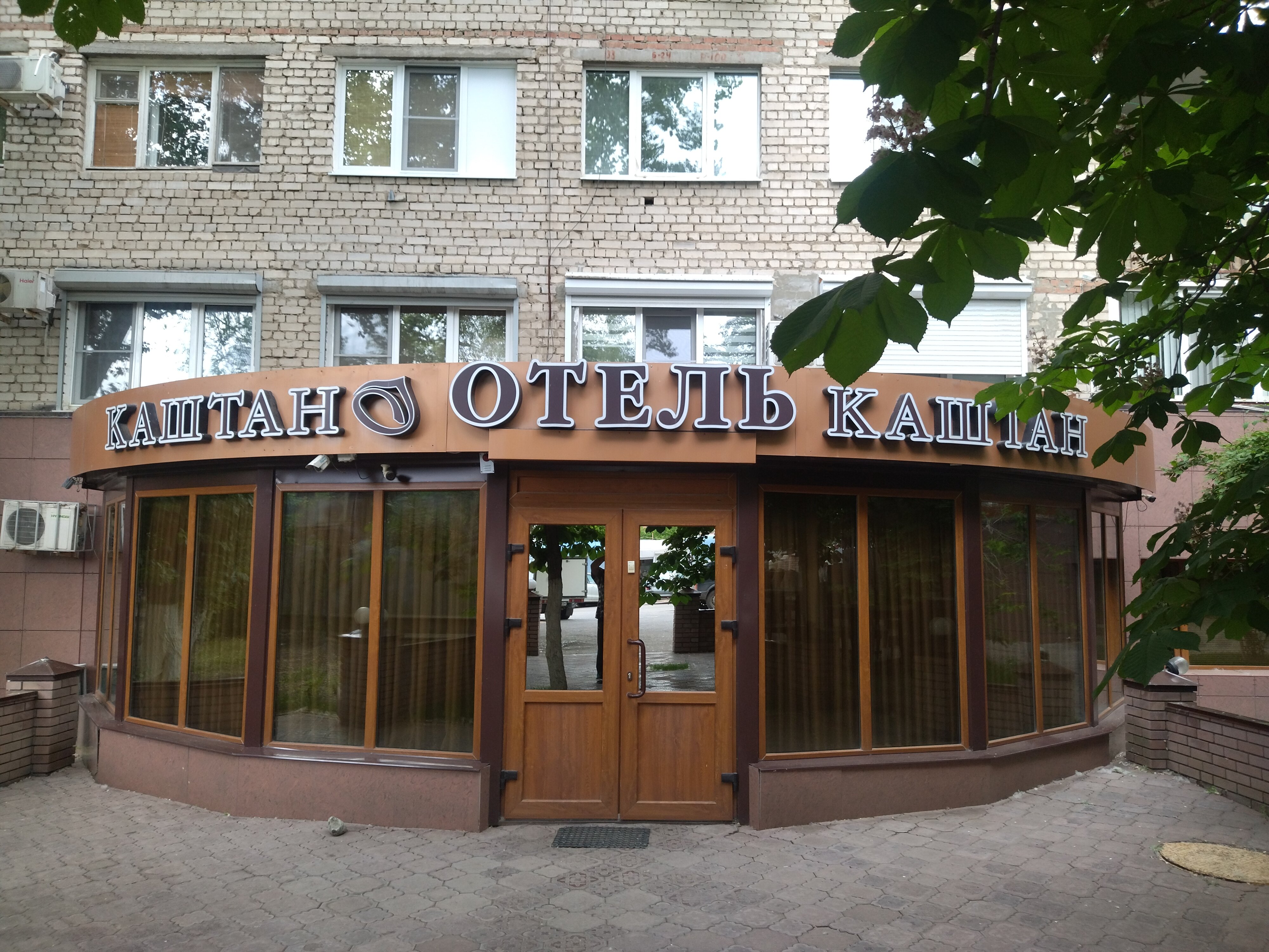 Фото Каштан