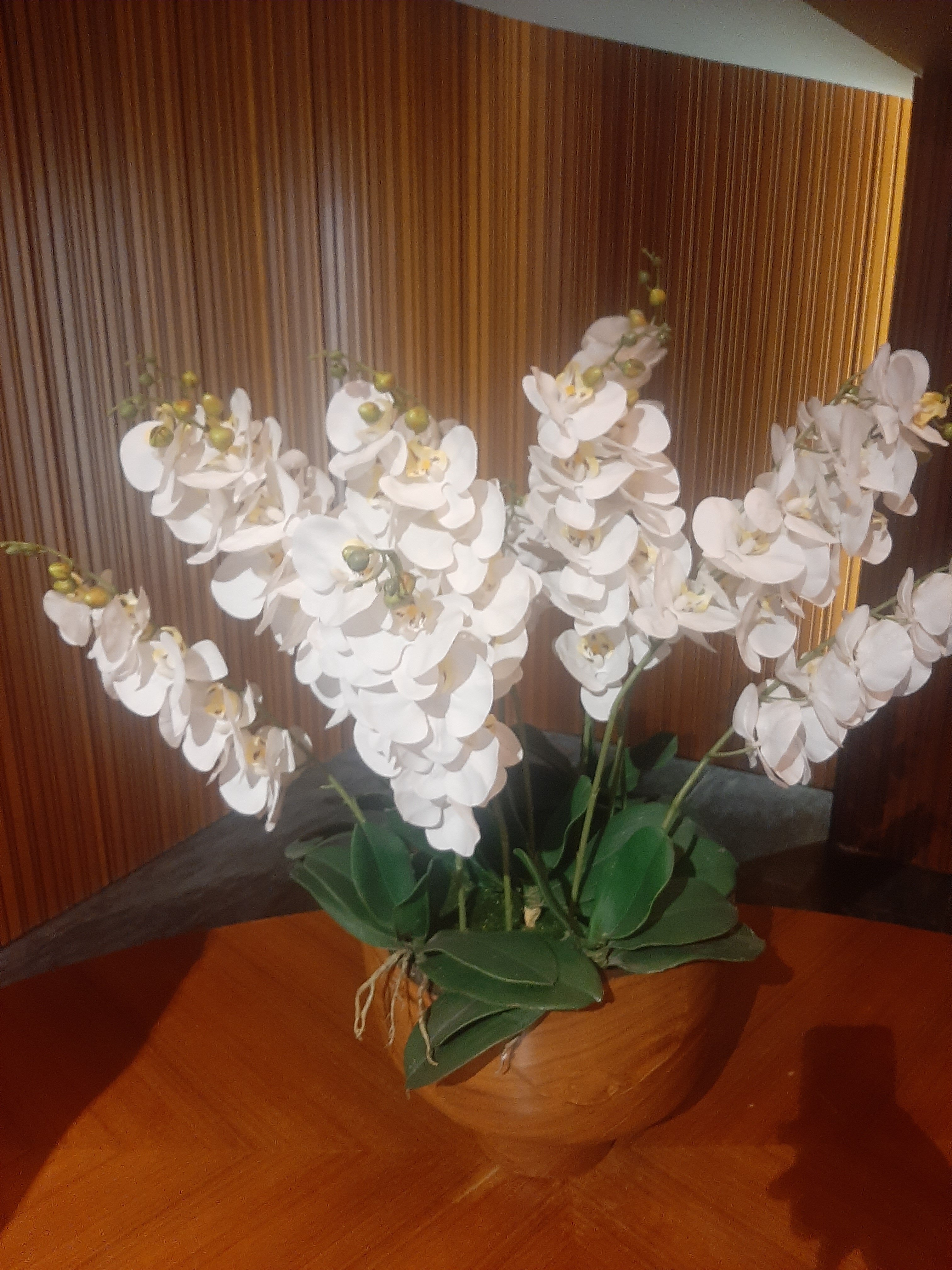 Фото Barvikha Hotel & SPA