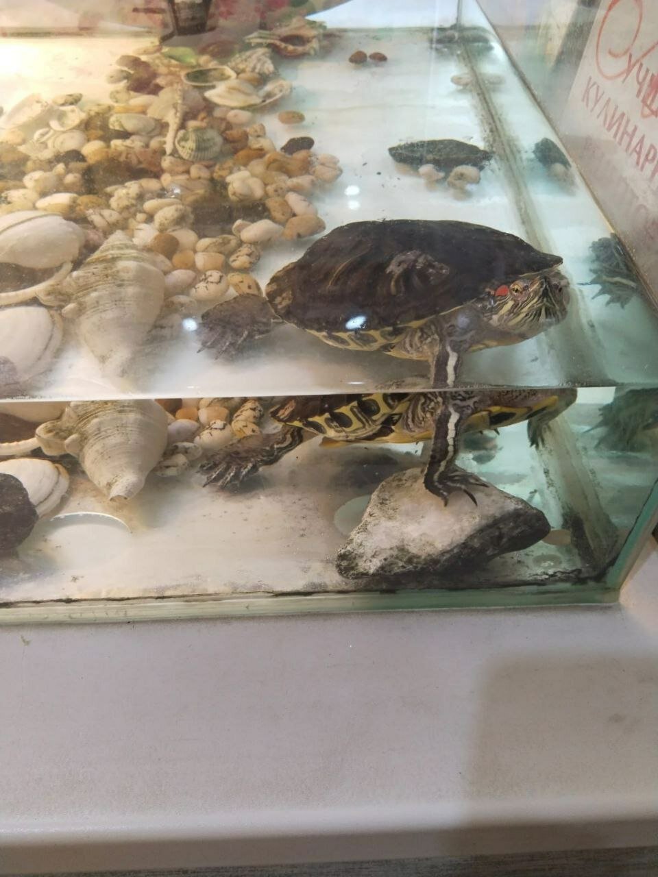 Фото Хостел Большой Казачий