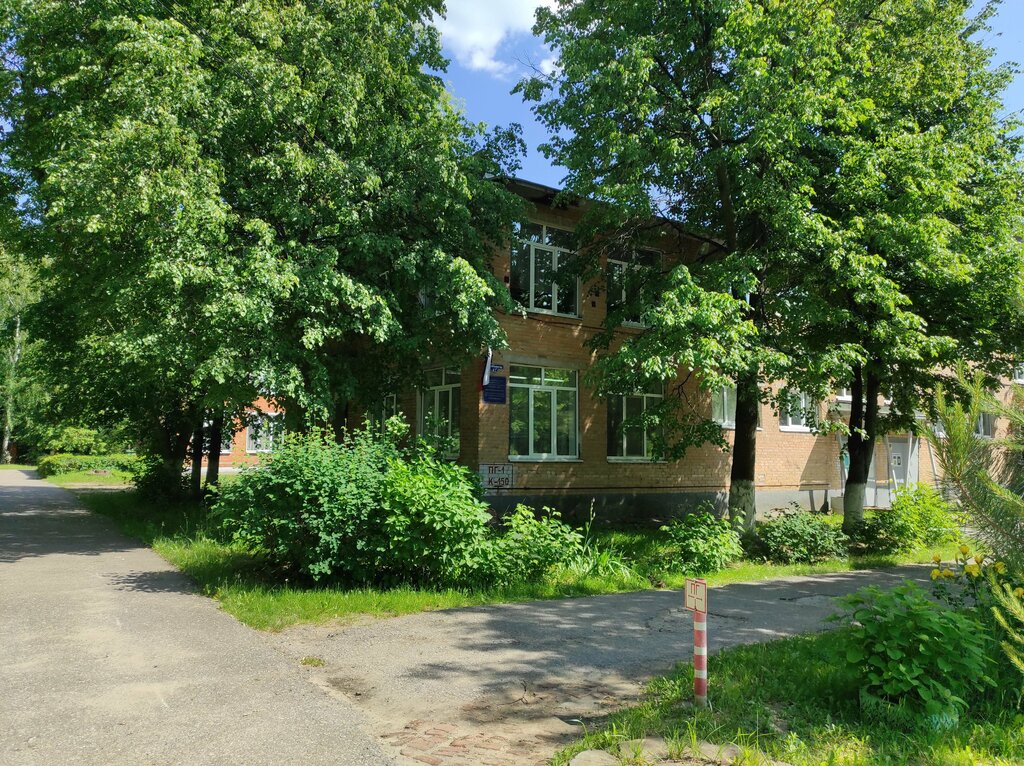 التعليم الإضافي Tsentr Vneshkolnoy Raboty g. Voskresensk ، ، صورة
