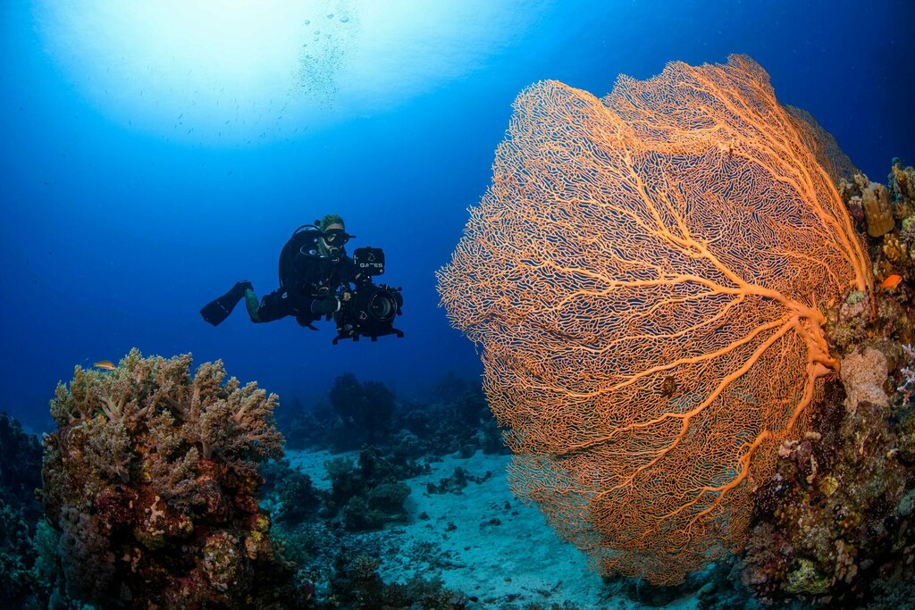 Video production Base Films, Dubai, photo