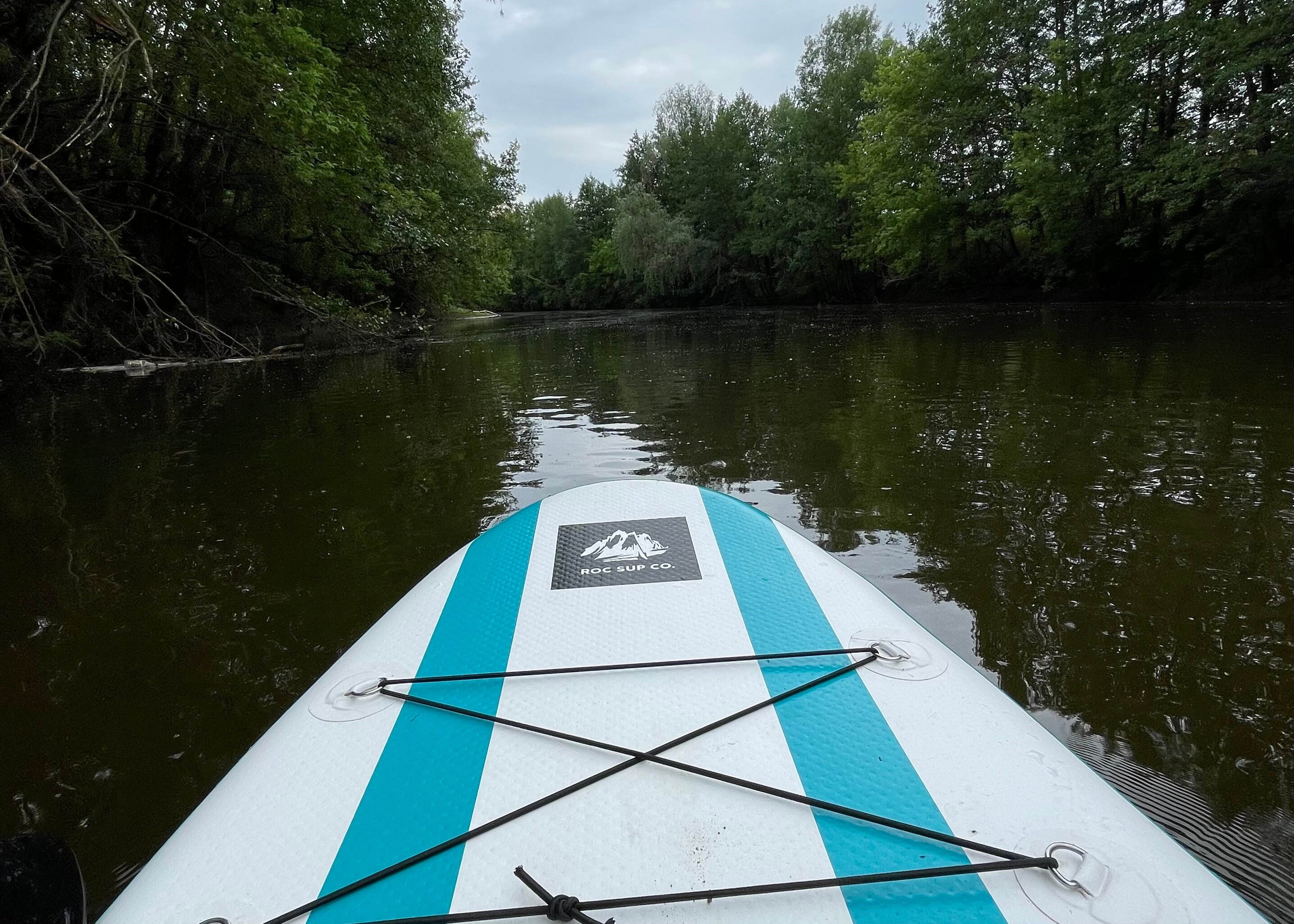 Фото У реки