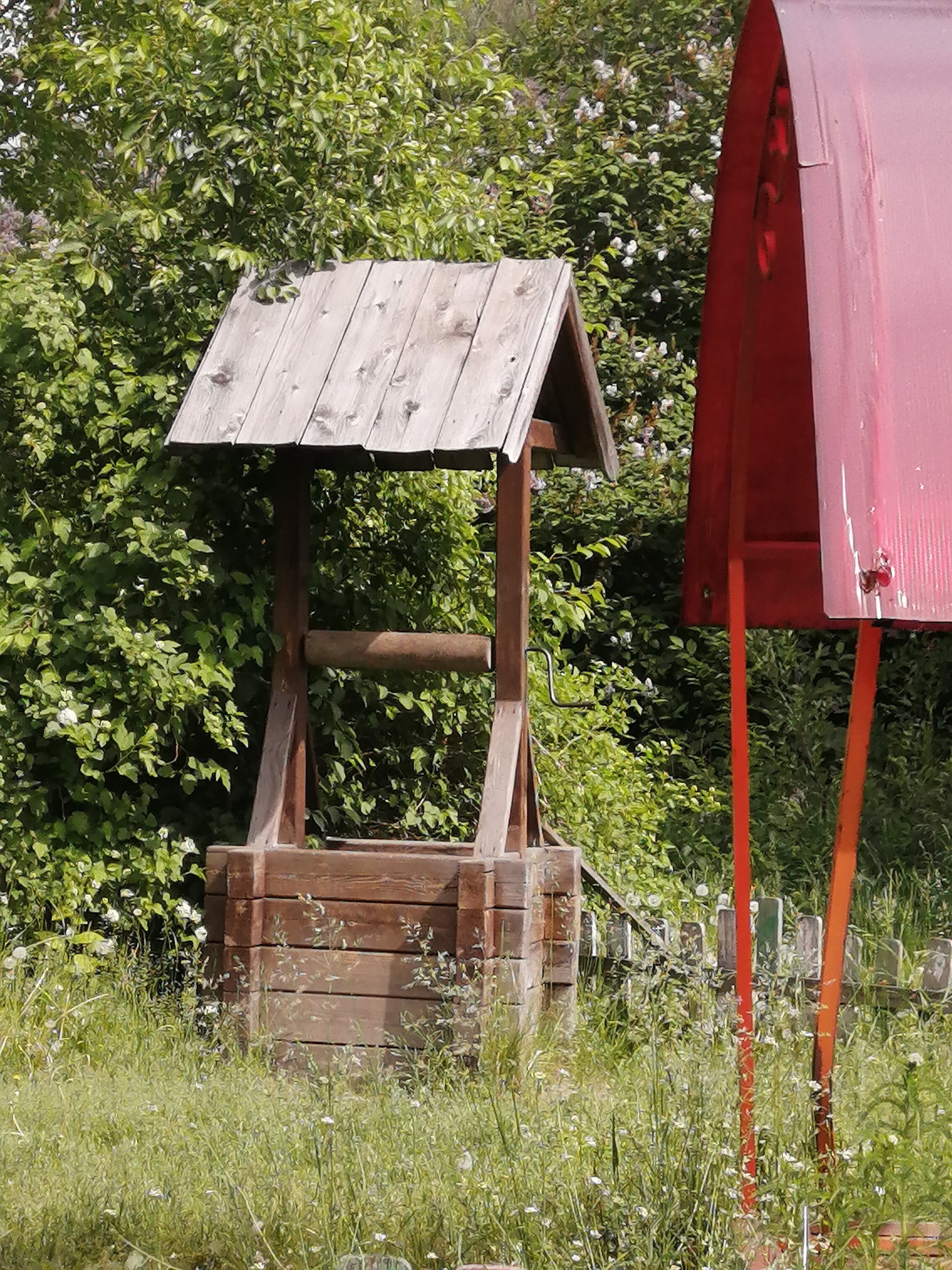 Фото Лесная сказка