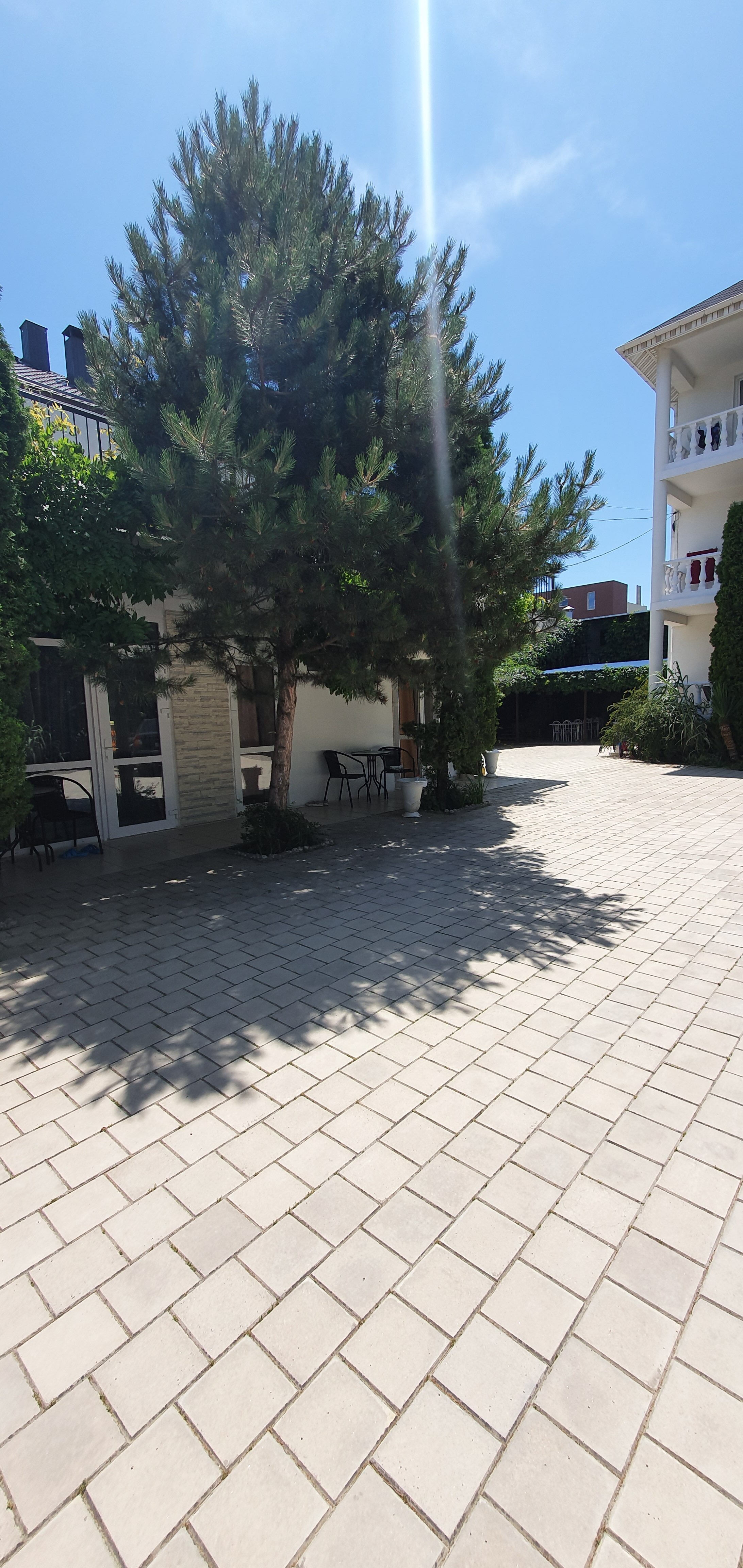 Фото Летняя Дача