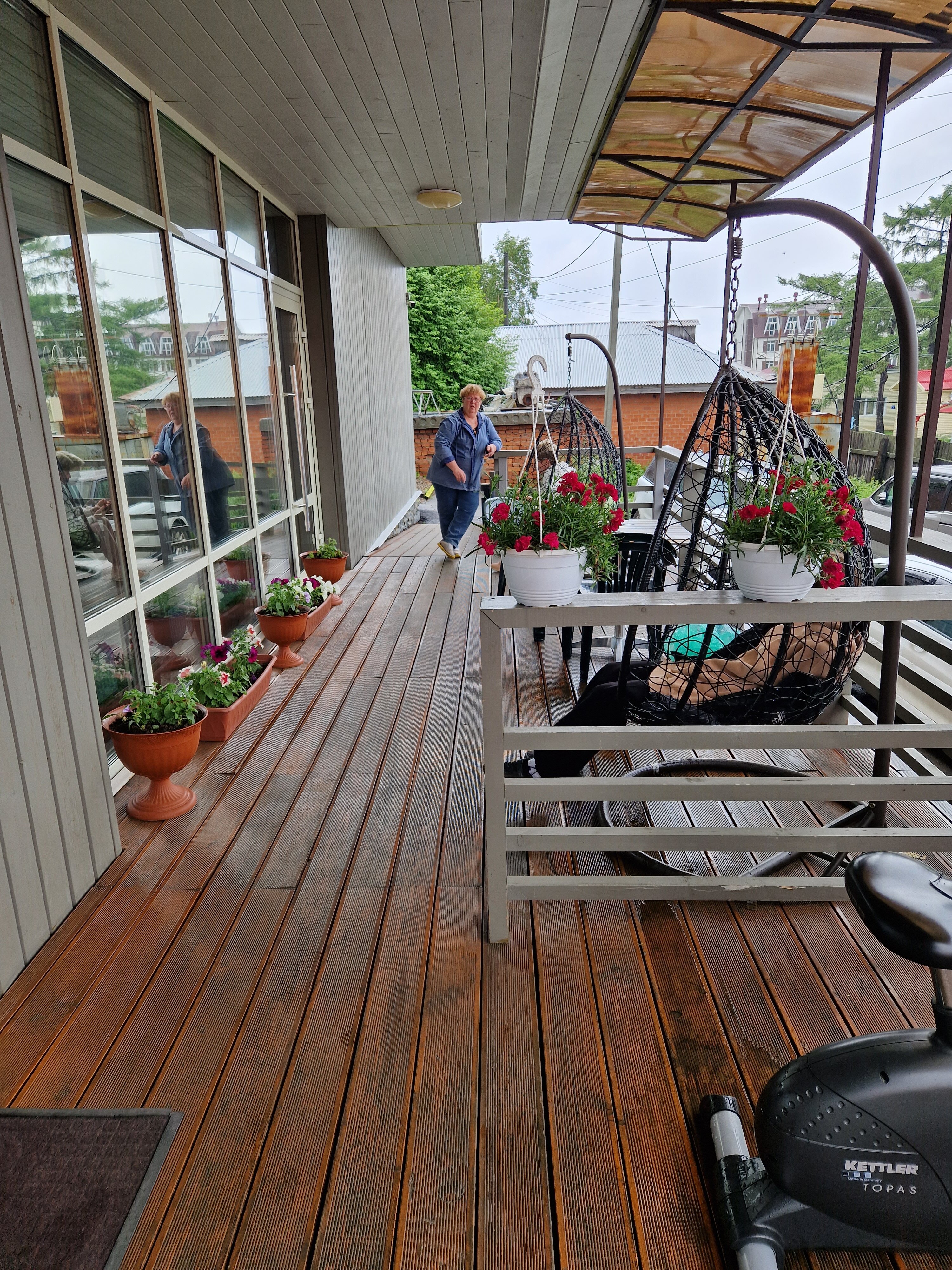 Фото Байкал Кедр