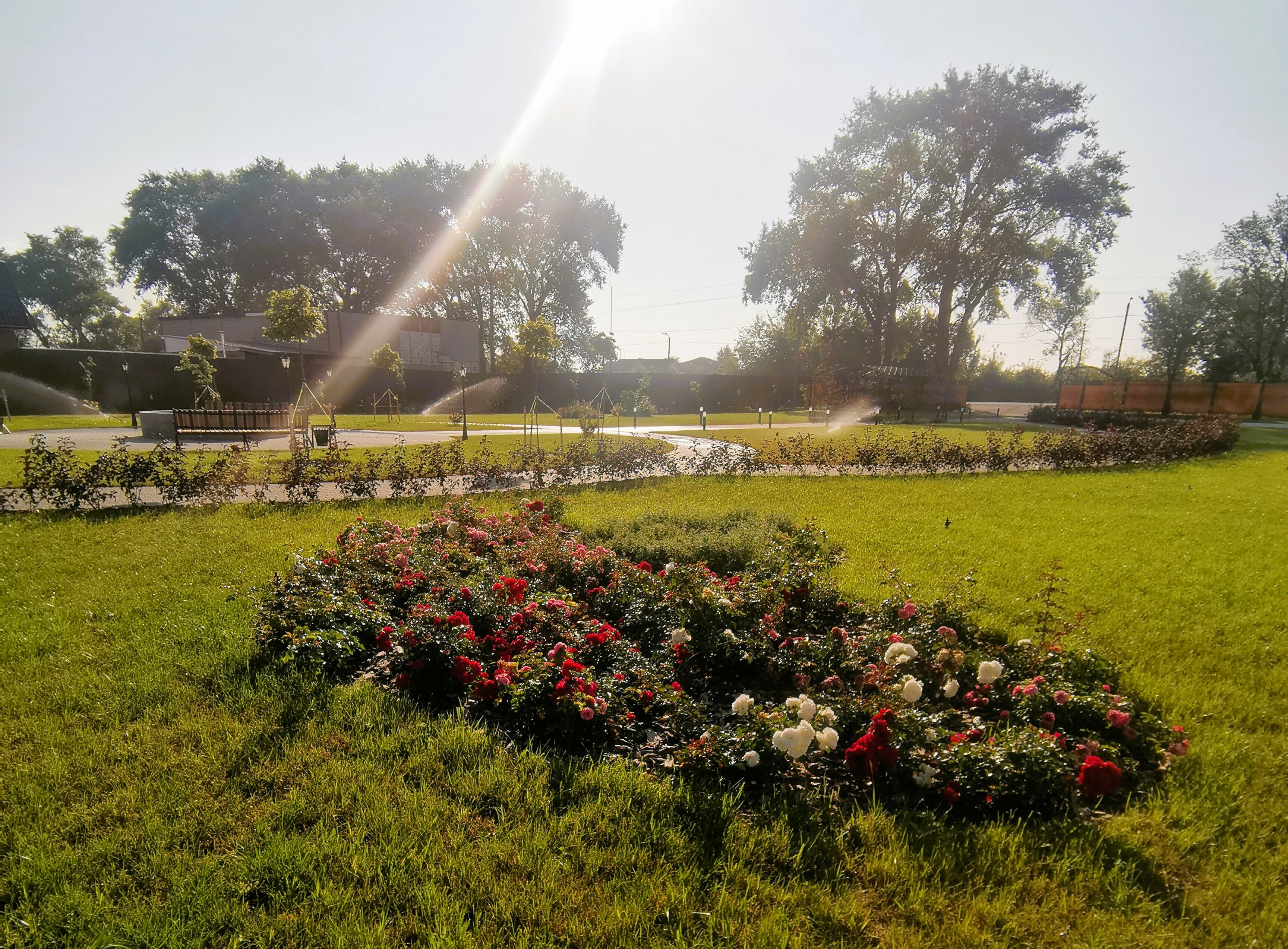 Фото Спектр