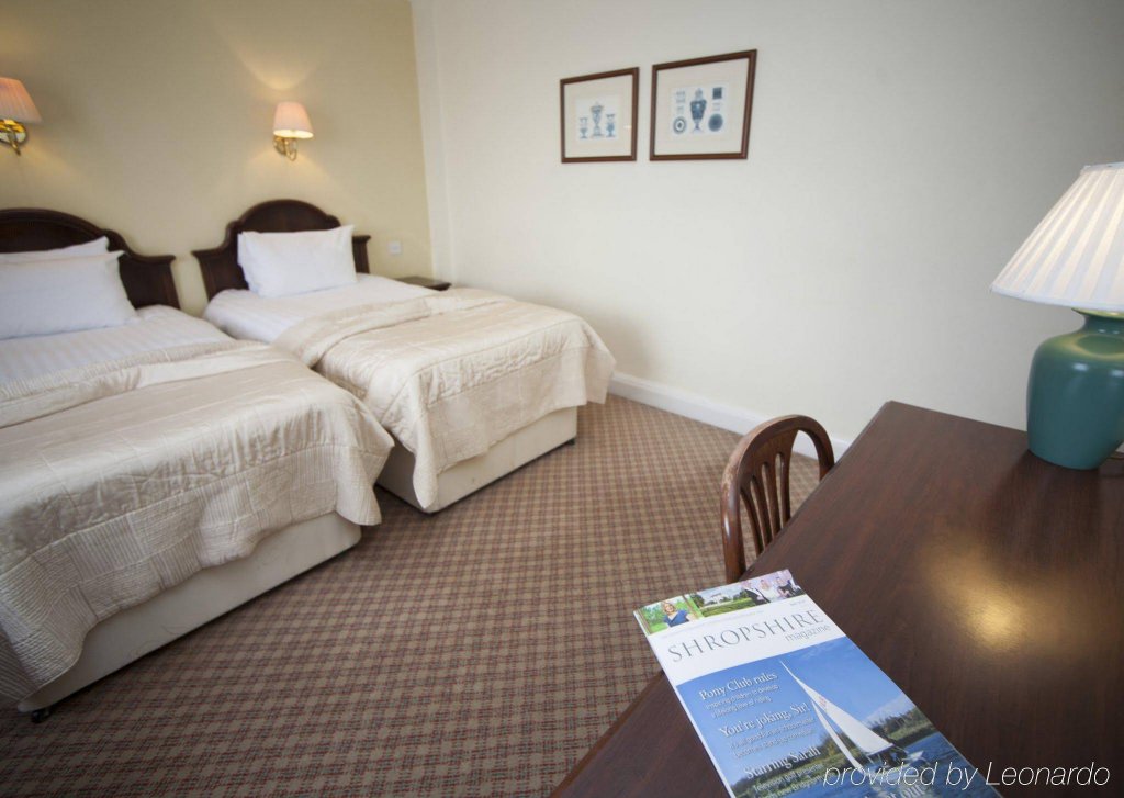 Фото Lion and Pheasant Hotel