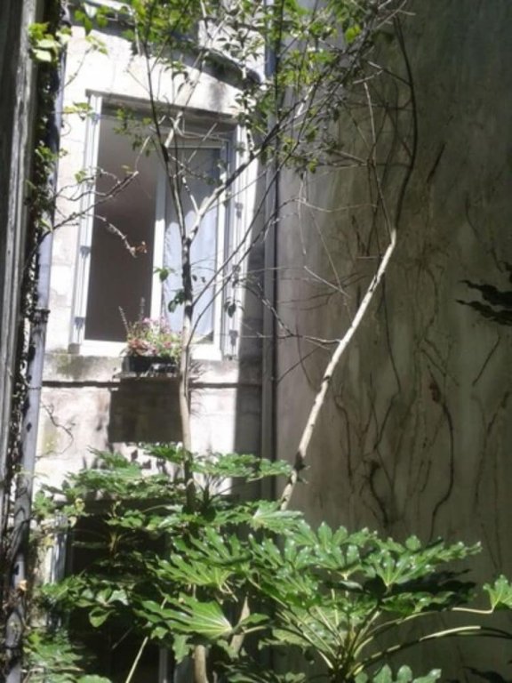 Фото Hotel La Marine