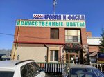 Roofline (Karyernaya Street, 14), roofing and roofing materials