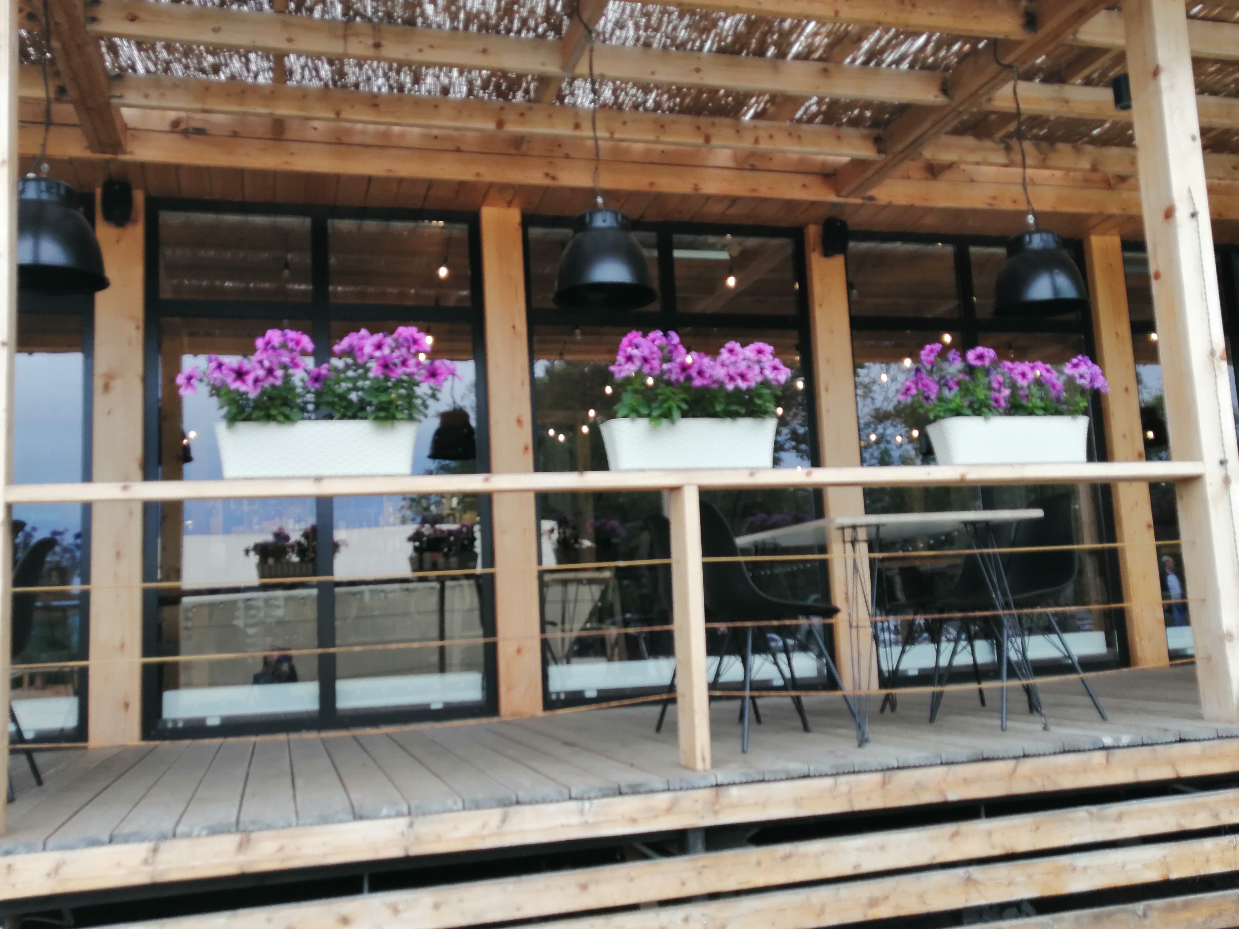 Фото Лагуна