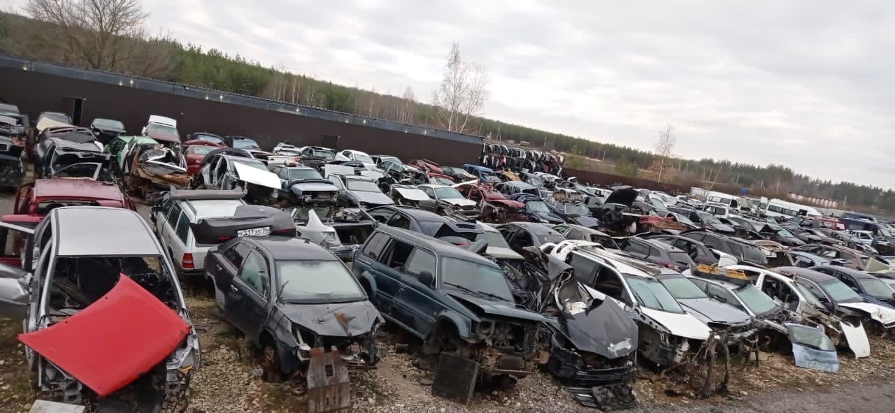 Варианты покупки в Ярославле