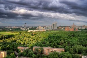 Matveyevsky Forest (Moscow, Matveyevsky Forest), orman  Moskova'dan