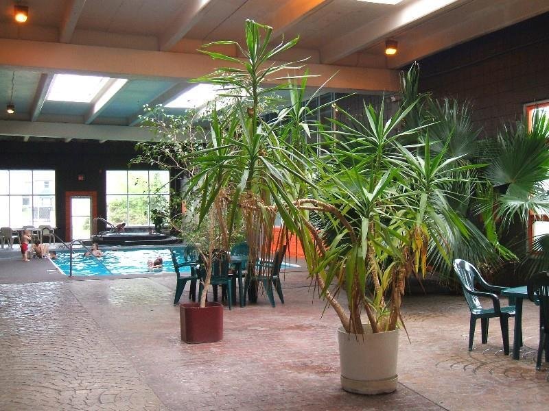 Фото A Victory Inn & Suites - Ann Arbor