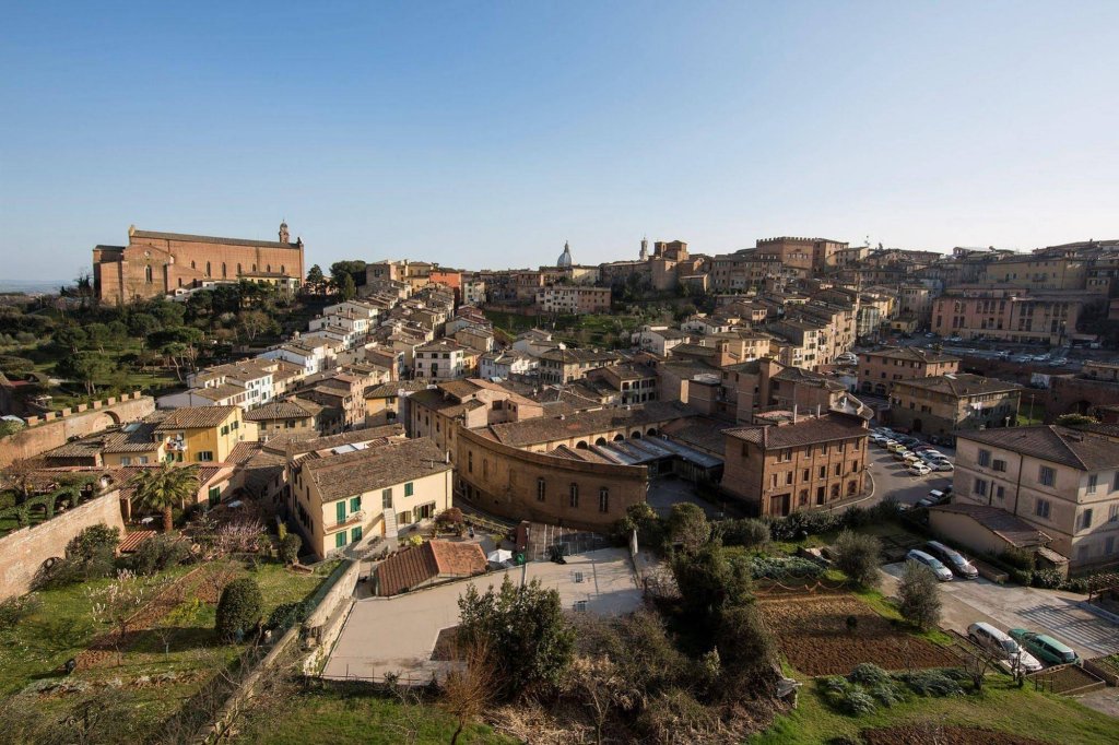 Фото Hotel Minerva