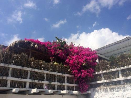 Гостиница Apsenti Couples Only - Mykonos